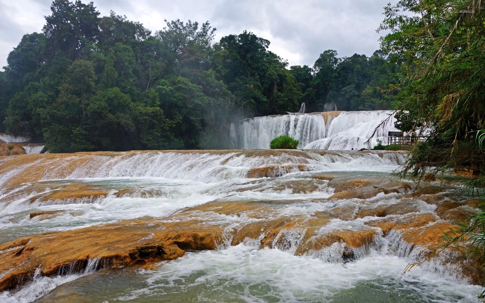 Agua Azul in Mexico wallpaper wallpaper
