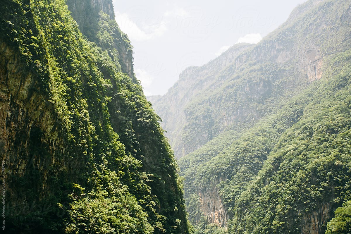 Vegetation And Natural Impresive Scenery Of A Canyon In A Valley In Chiapas, Mexico by Alejandro Moreno De Carlos