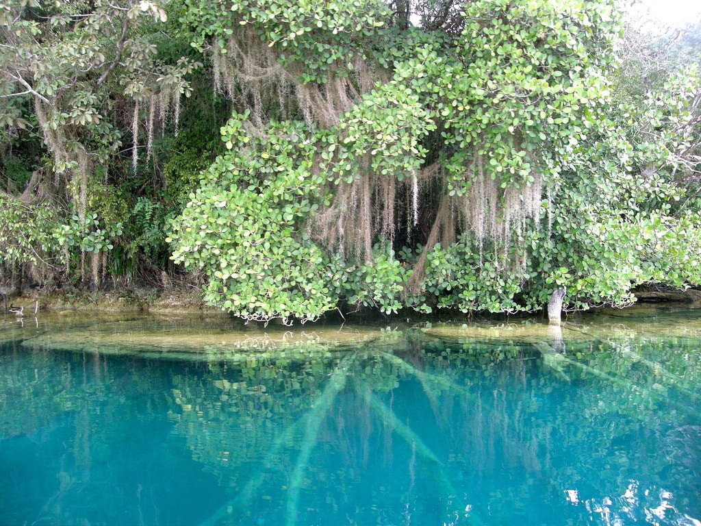 The Things to See and Do in Chiapas, Mexico