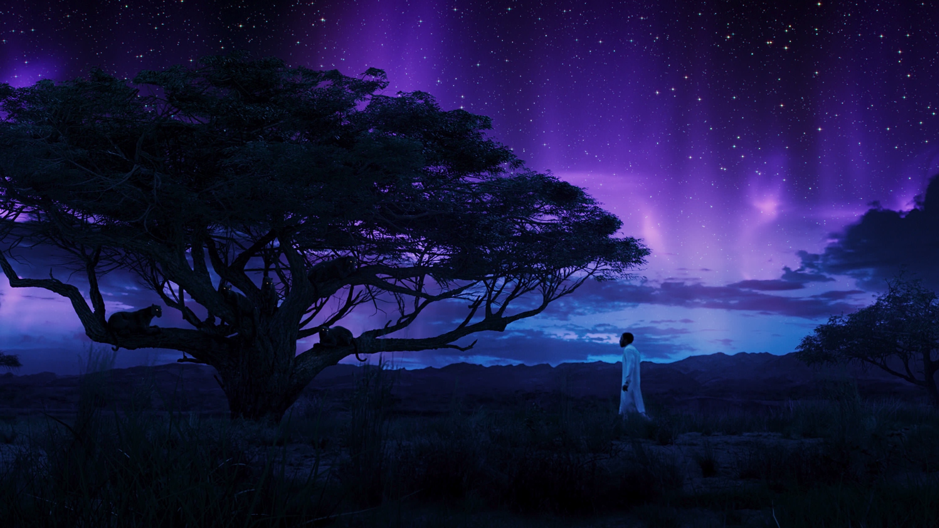 Wallpaper, Marvel Cinematic Universe, Black Panther 3046x1713