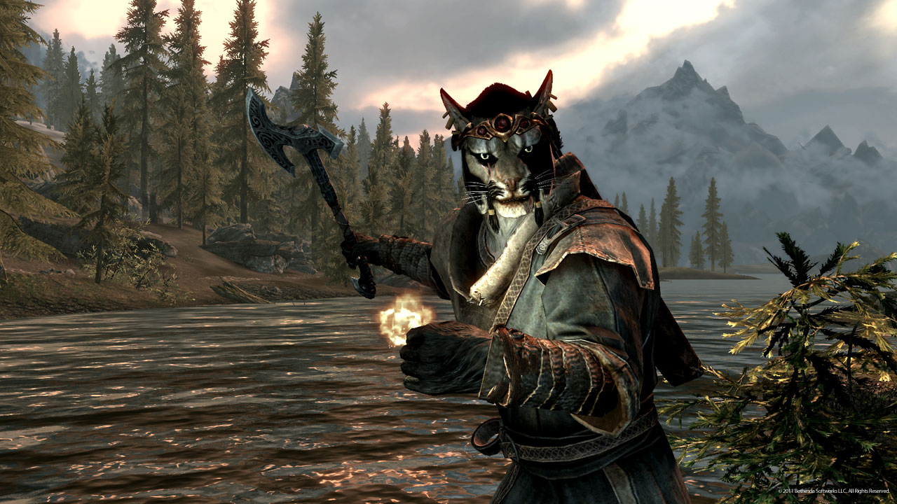 Khajiit Male Scrolls V, Skyrim Photo