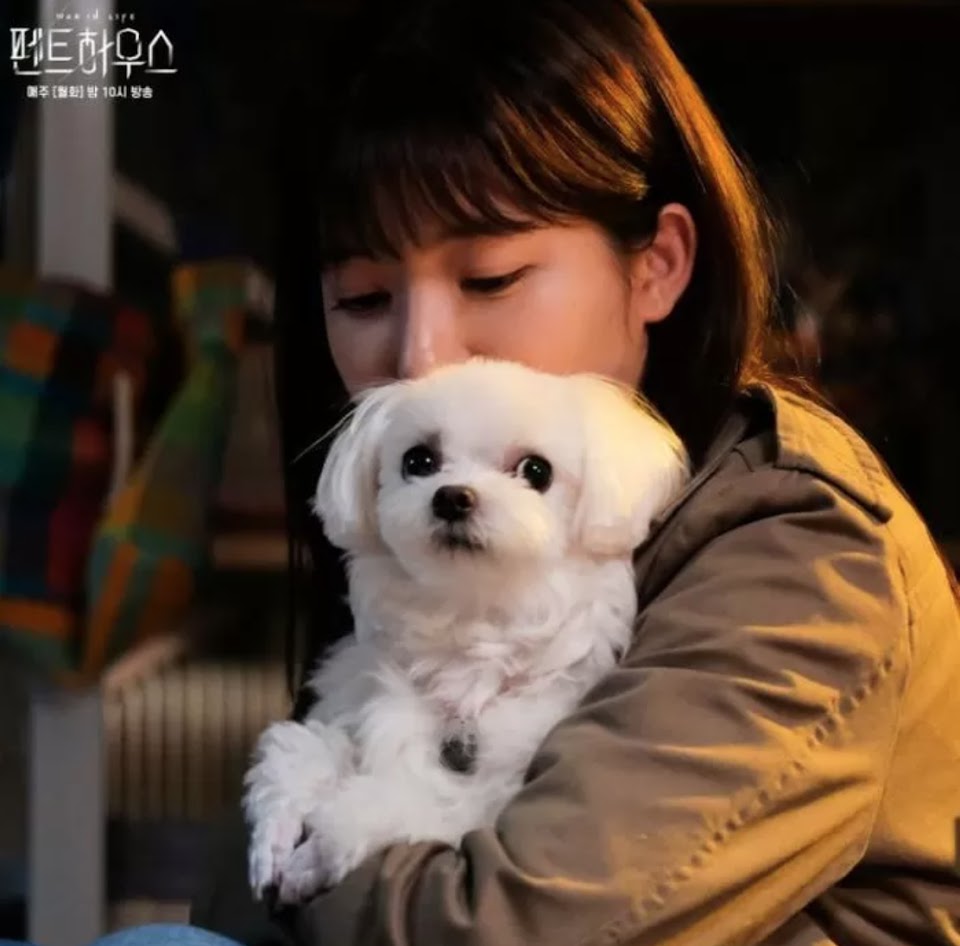 Penthouse Canine Actress Had To Film Countless Retakes Because She Desperately Wanted Treats