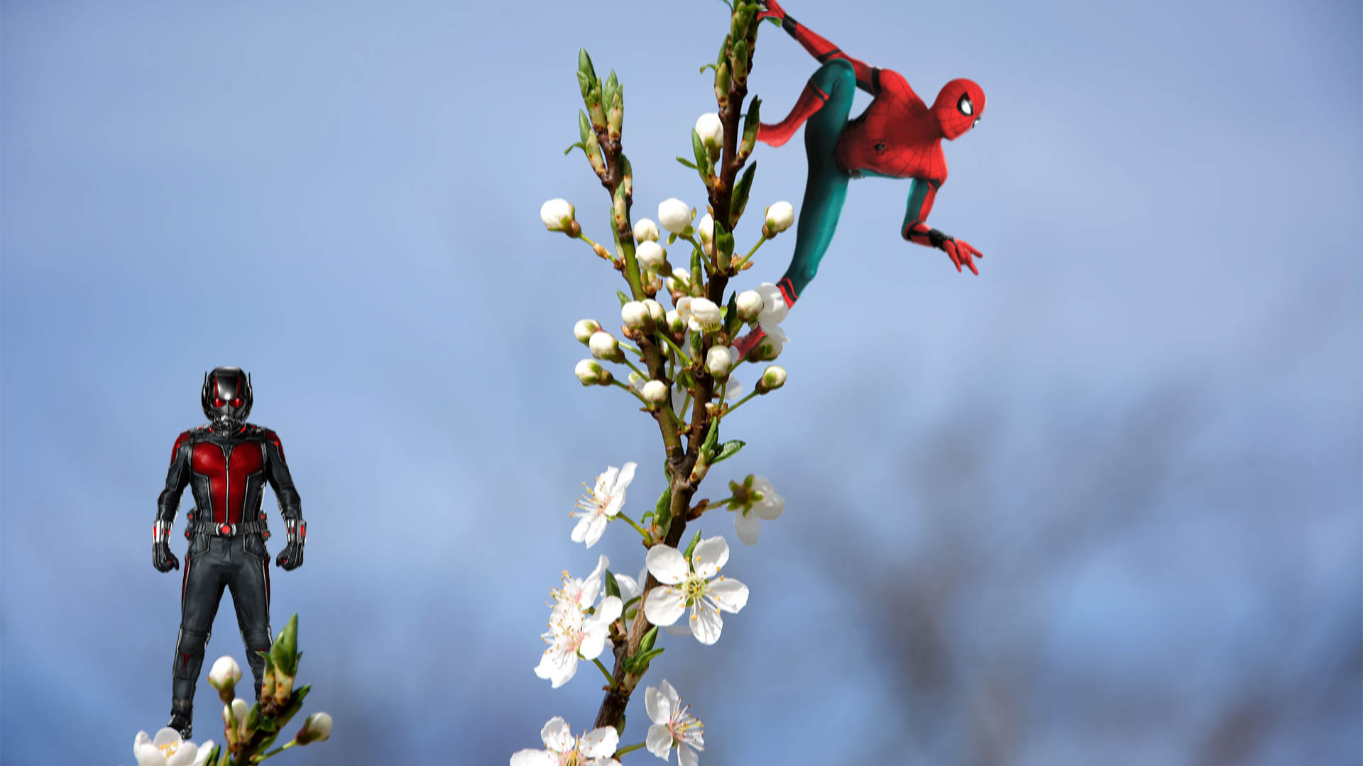 Marvel Cinematic Universe, Marvel Comics, Marvel Super Heroes, Superhero, Spider, Spider Man, Ant Man Wallpaper HD / Desktop and Mobile Background