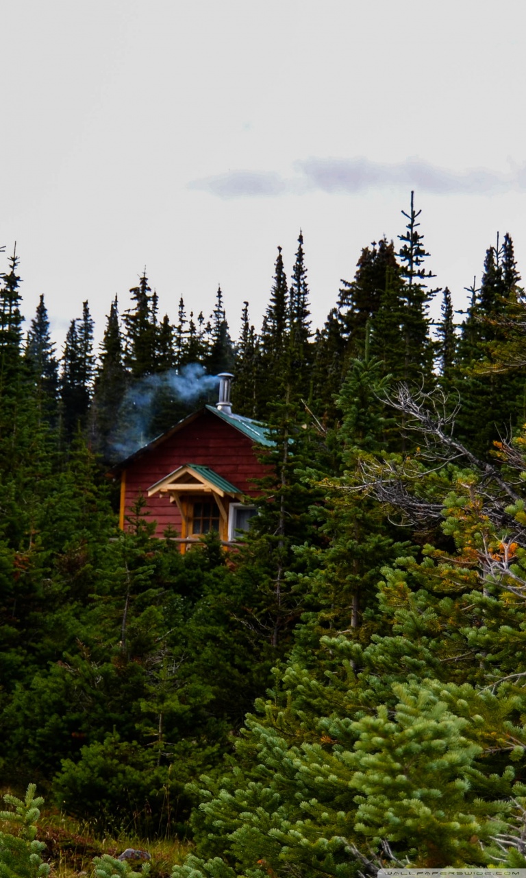 Cabin In The Woods Ultra HD Desktop Background Wallpaper for 4K UHD TV, Widescreen & UltraWide Desktop & Laptop, Tablet