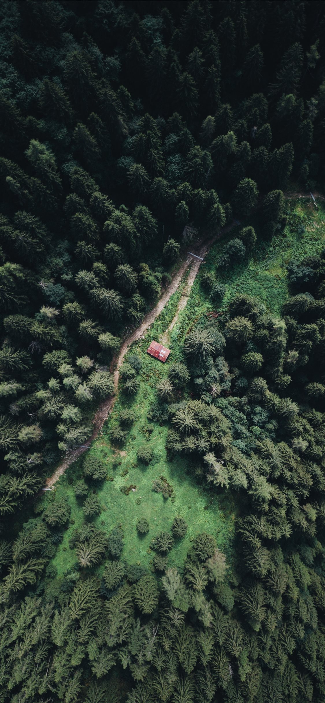 Cabin iPhone Wallpaper Free Download