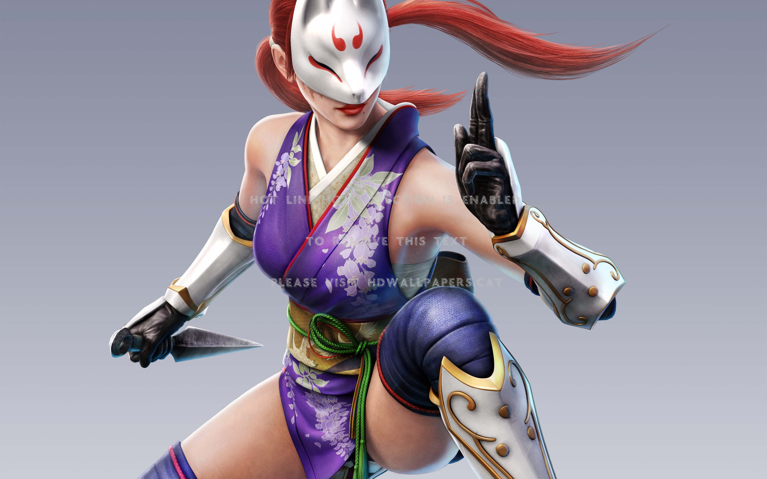 kunimitsu tekken tag tournament character