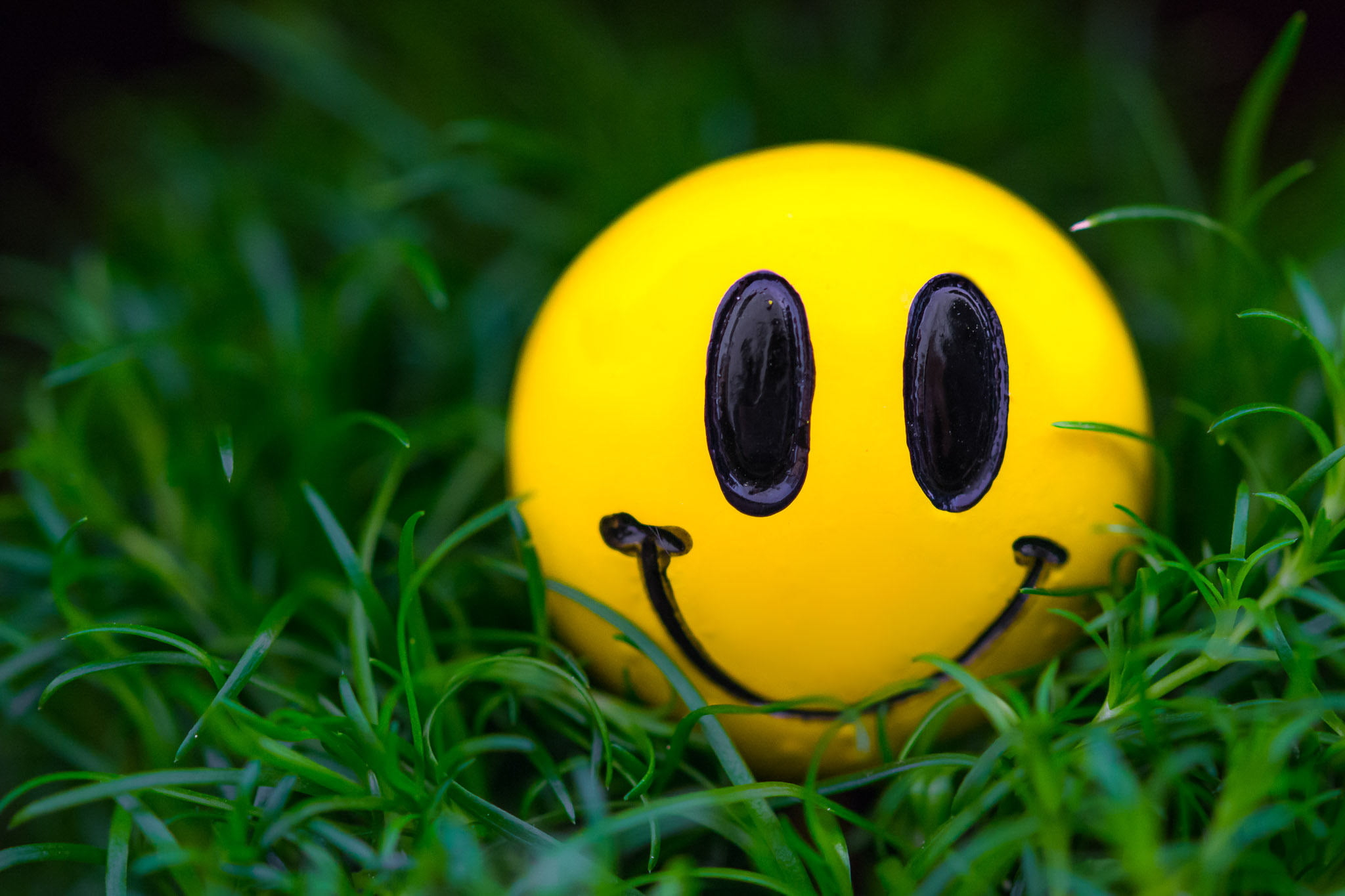 Yellow Emoji Ball Wallpaper, Grass, Macro, Smile, Smiley, Plant, Close Up • Wallpaper For You HD Wallpaper For Desktop & Mobile