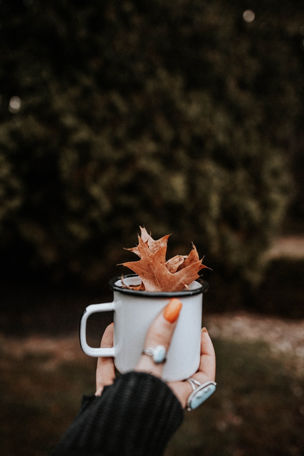 Autumn Coffee Picture. Download Free Image