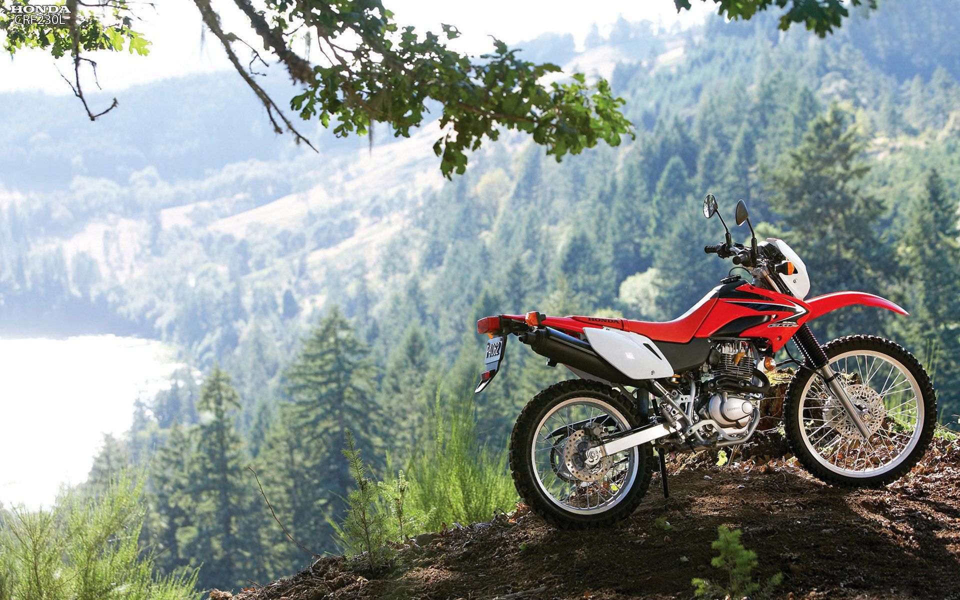 Honda CRF Wallpaper