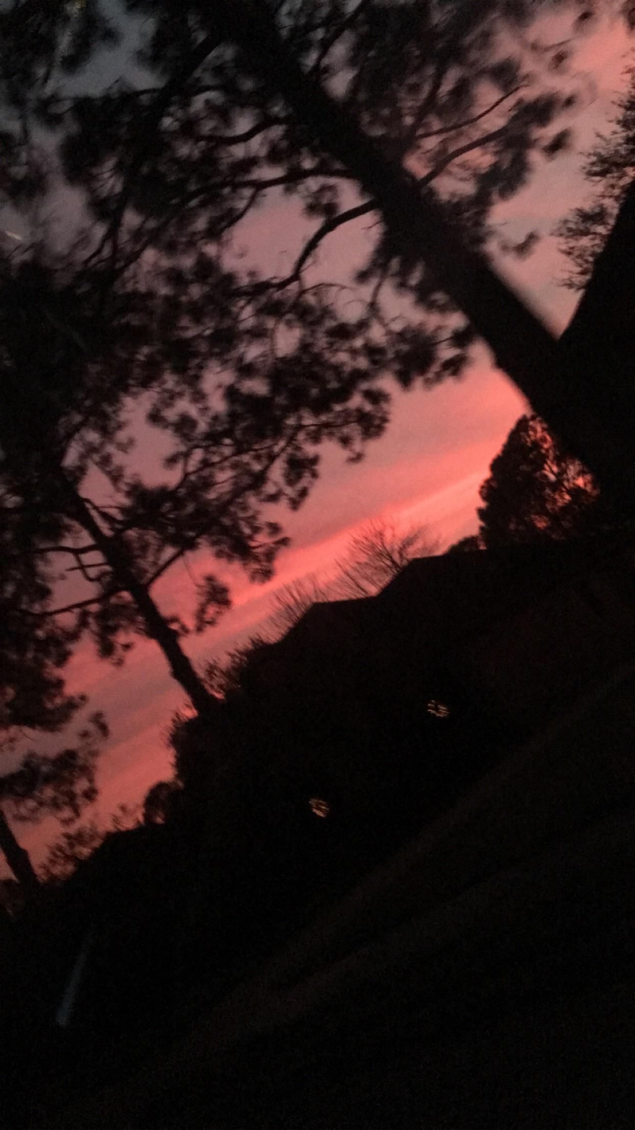 I took this in the car sorry Its kinda blurry. Blur photography, Sky aesthetic, Night sky photography