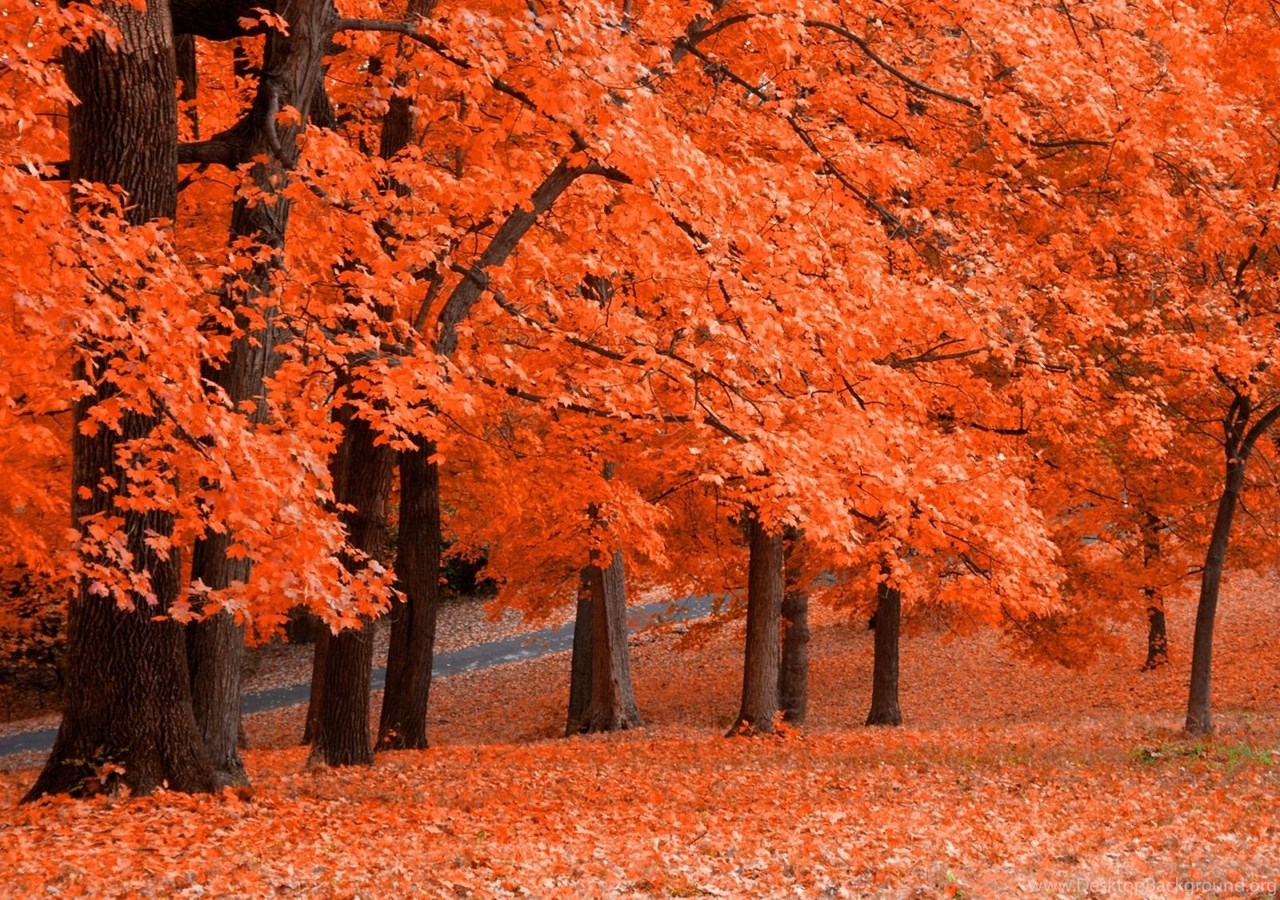 Autumn Wallpaper For Computer Wallpaper Online Desktop Background