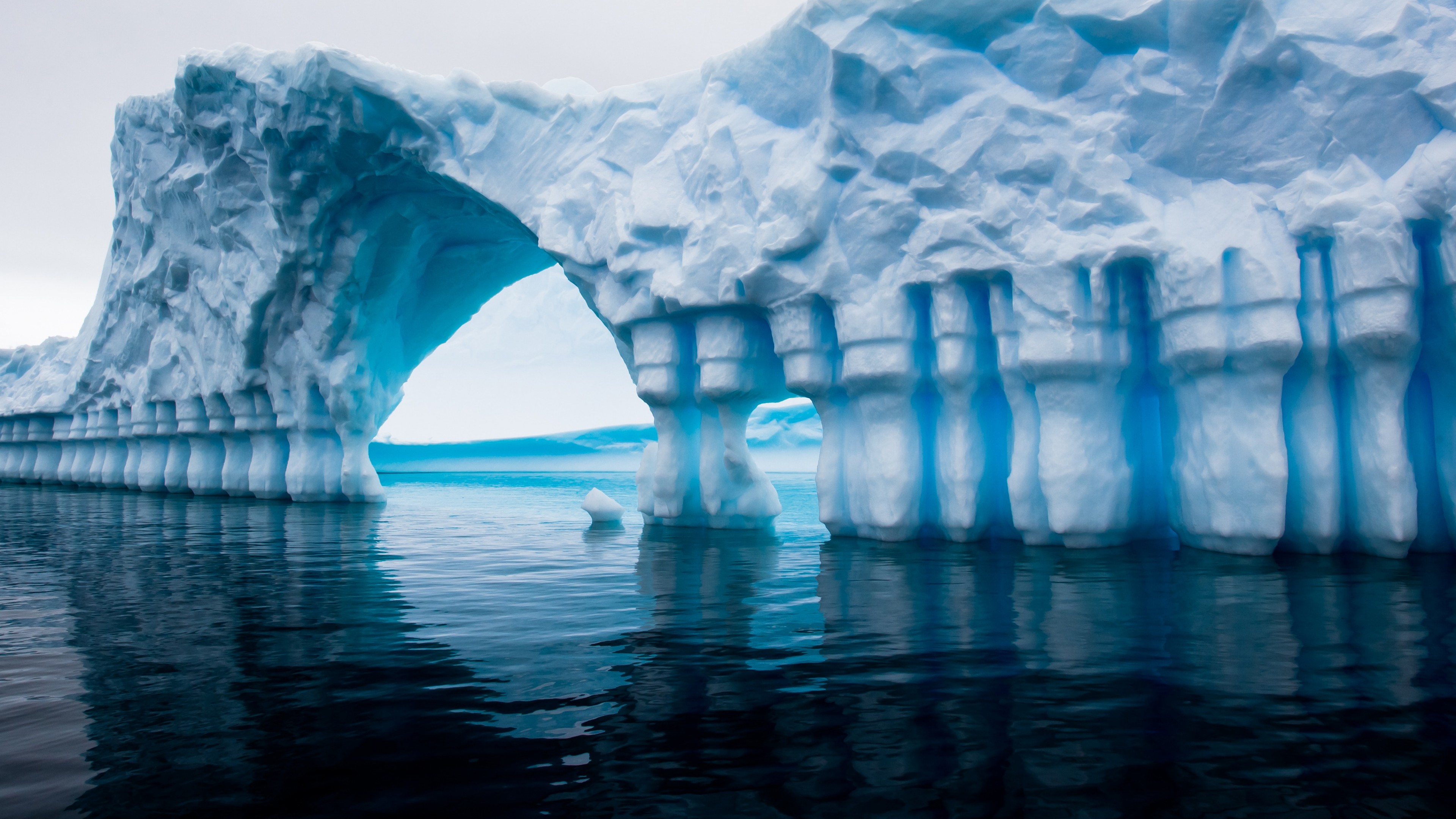Wallpaper Antarctica, 5k, 4k wallpaper, iceberg, blue, water, ocean, sea, reflection, Nature