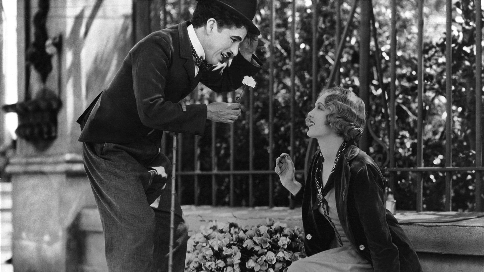 Prime Video: City Lights (1931)