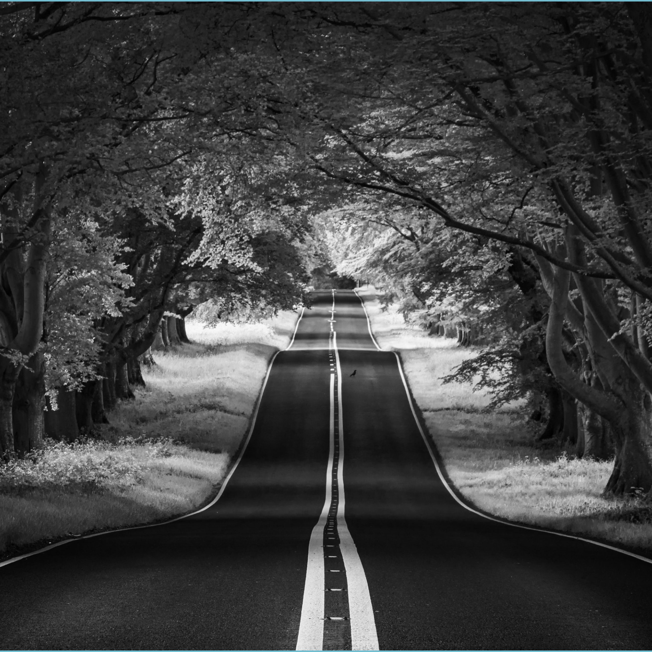 Road Landscape, Aesthetic, Black And White Ultra HD Desktop Black And White Wallpaper