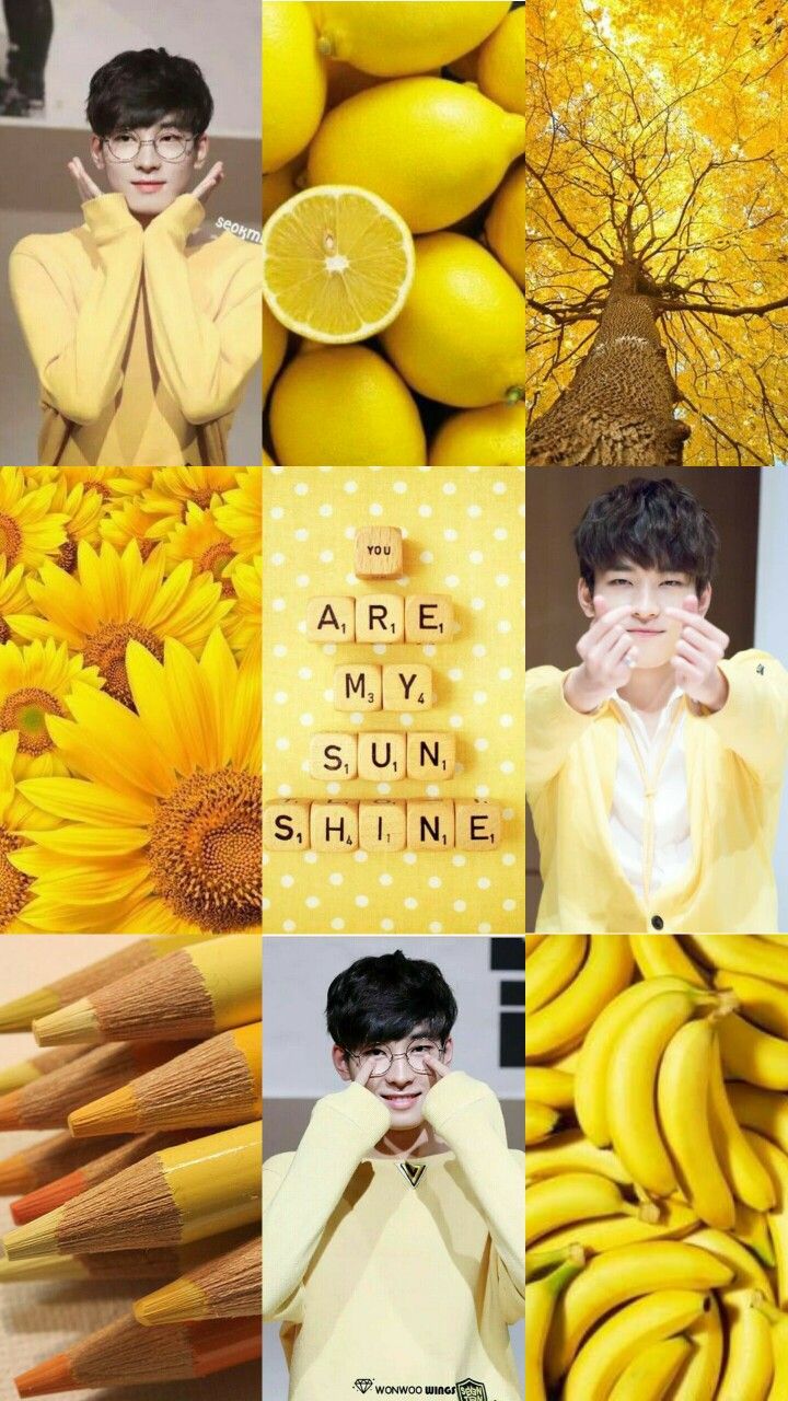 Wonwoo Moodboard #Wonwoo #Seventeen #Svt #yellow #Moodboard #Aesthetic # Wallpaper. Yellow aesthetic, Aesthetic wallpaper, Seventeen