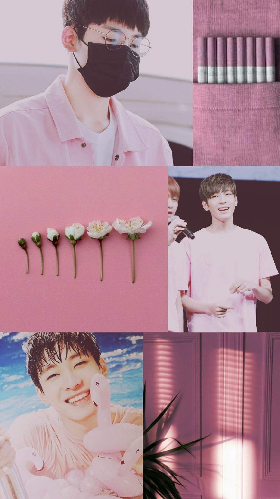 Seveteen #aesthetics #Seveteenaesthetics #pink #Wonwoo. Kertas dinding, Kertas dinding lucu, Lucu