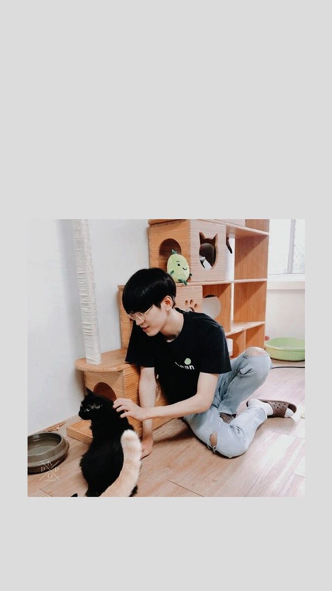 Wonwoo wallpaper ✨. Gambar, Suami, Wallpaper ponsel