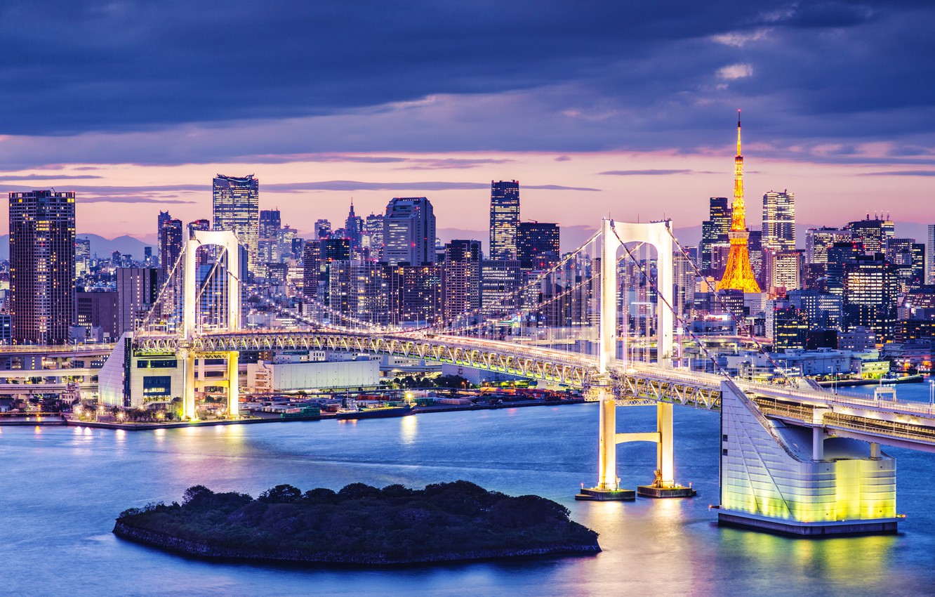 Wallpaper lights, lights, Japan, Tokyo, Japan, night city, bridge, night, harbour, cityscape, Tokyo Bay image for desktop, section город