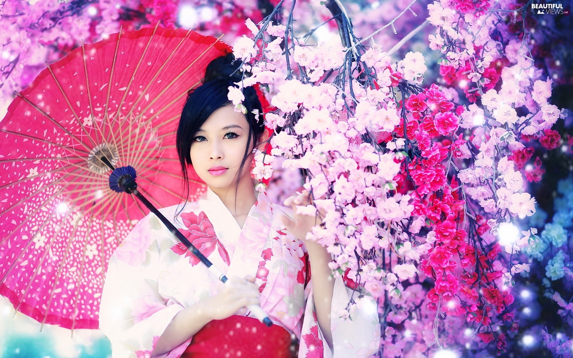 trees, Japanese, umbrella, flourishing, Women, viewes, Spring views wallpaper: 1920x1200