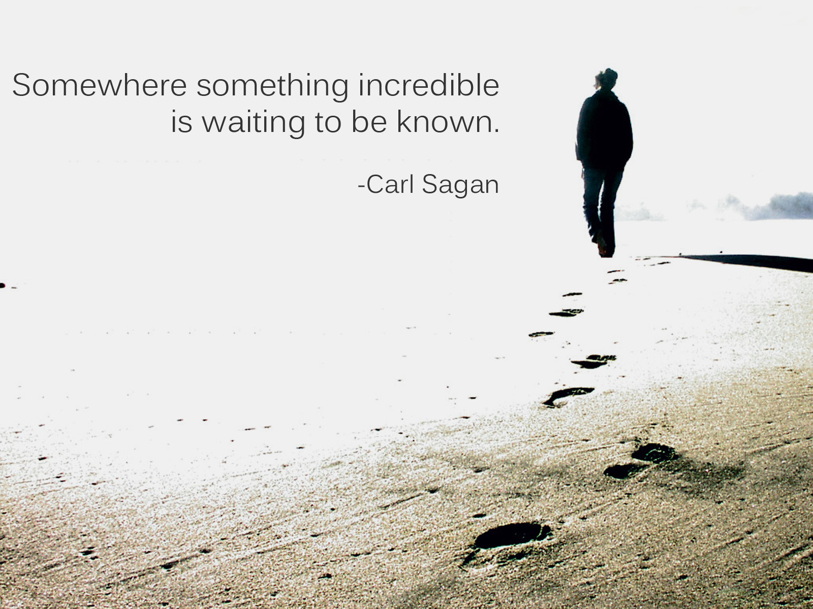 Free download funny motivational women work short inspiration quotes carl sagan [1600x1200] for your Desktop, Mobile & Tablet. Explore Funny Work Quotes Wallpaper. HD Wallpaper Funny Quotes, Funny Wallpaper