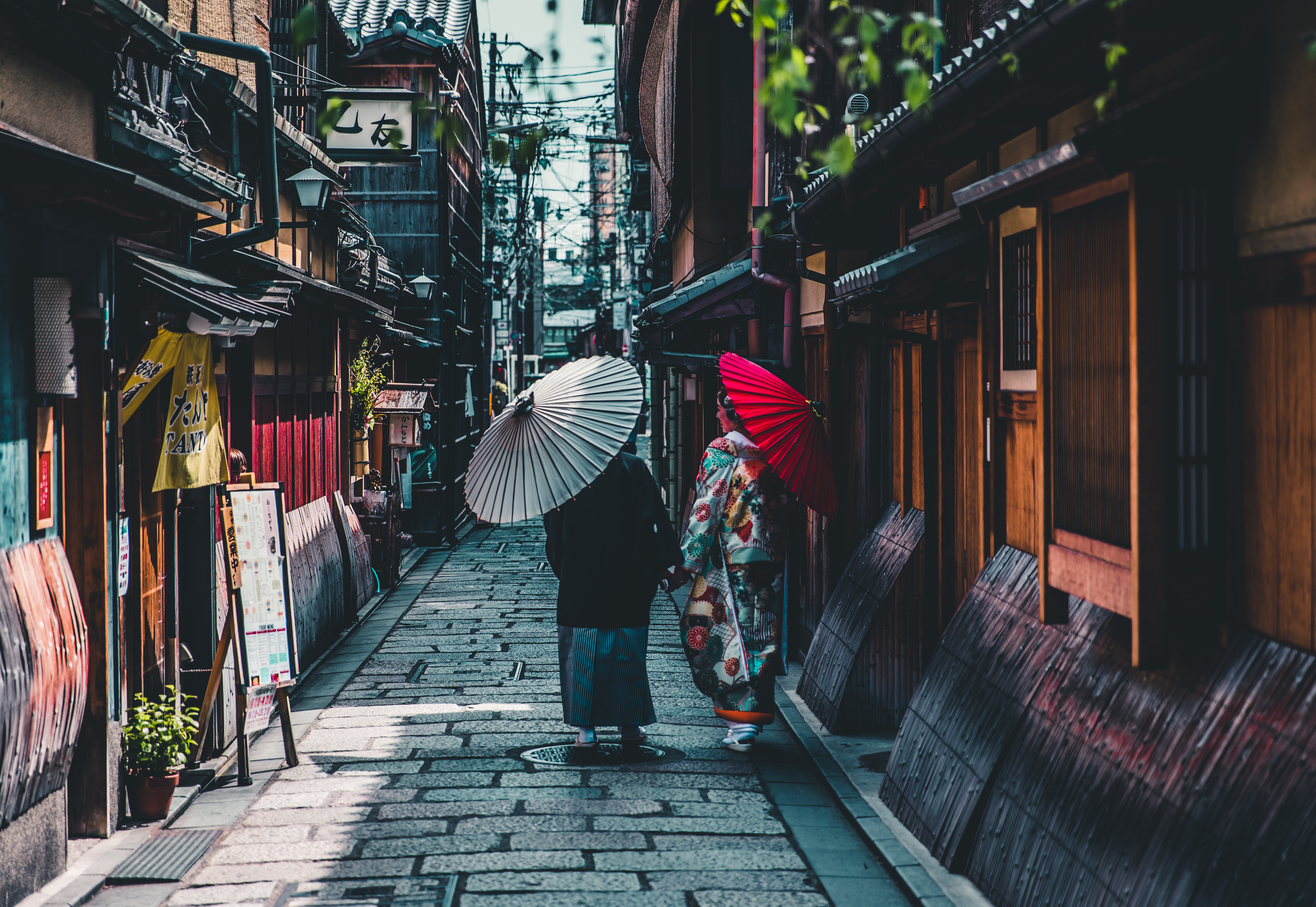 6498x4480 street, asian girl, scenery, kimono, alley, koyoto, candid, parasol, walking, japanese girl, japan, asian, person, tokyo girl, umbrella, culture, woman, Creative Commons image, lane, shibuya, tokyo