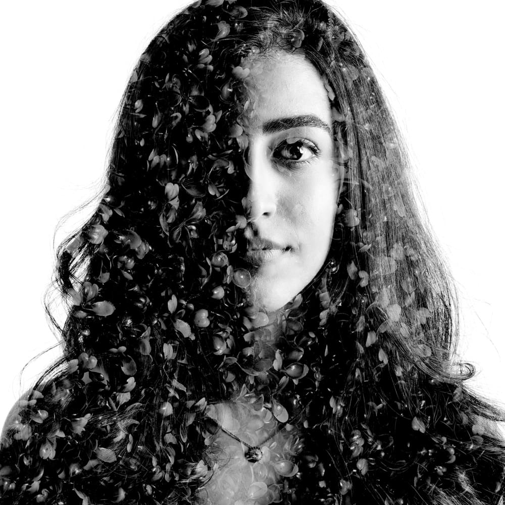 Luciana Zogbi