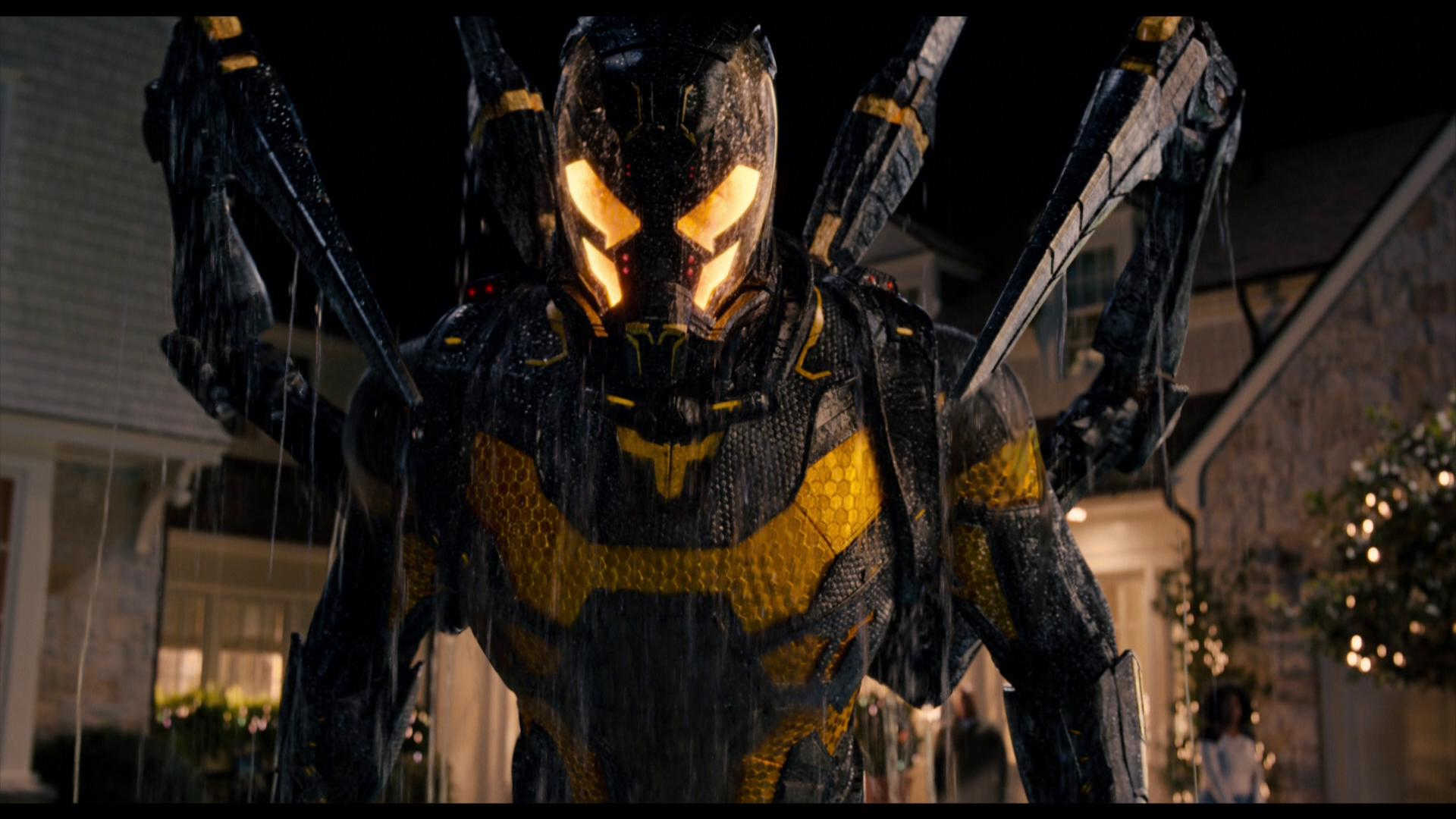 Yellowjacket Gets Out Of The Pool