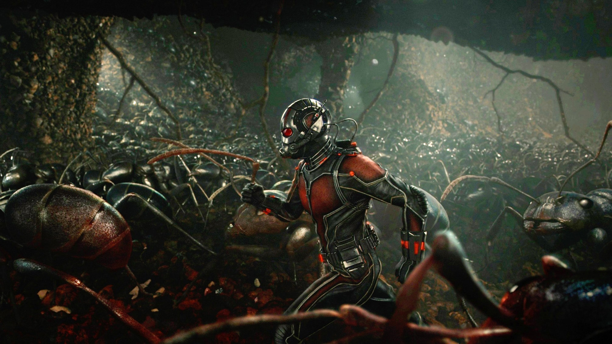 Let's Nerd Out About Ants Before You See Ant Man