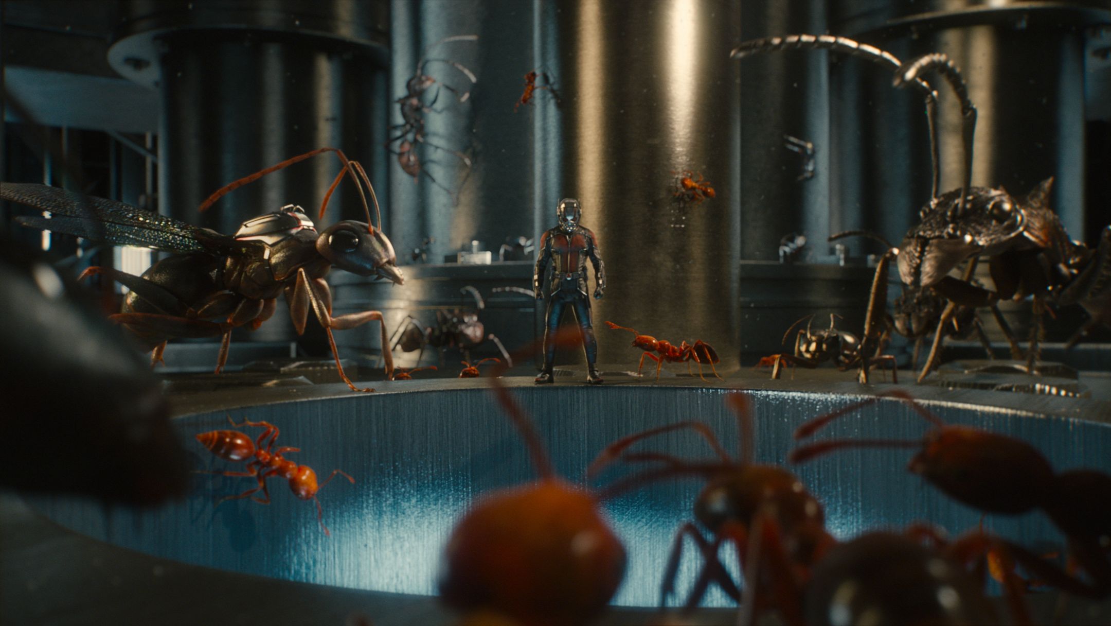 Ants. Marvel Cinematic Universe