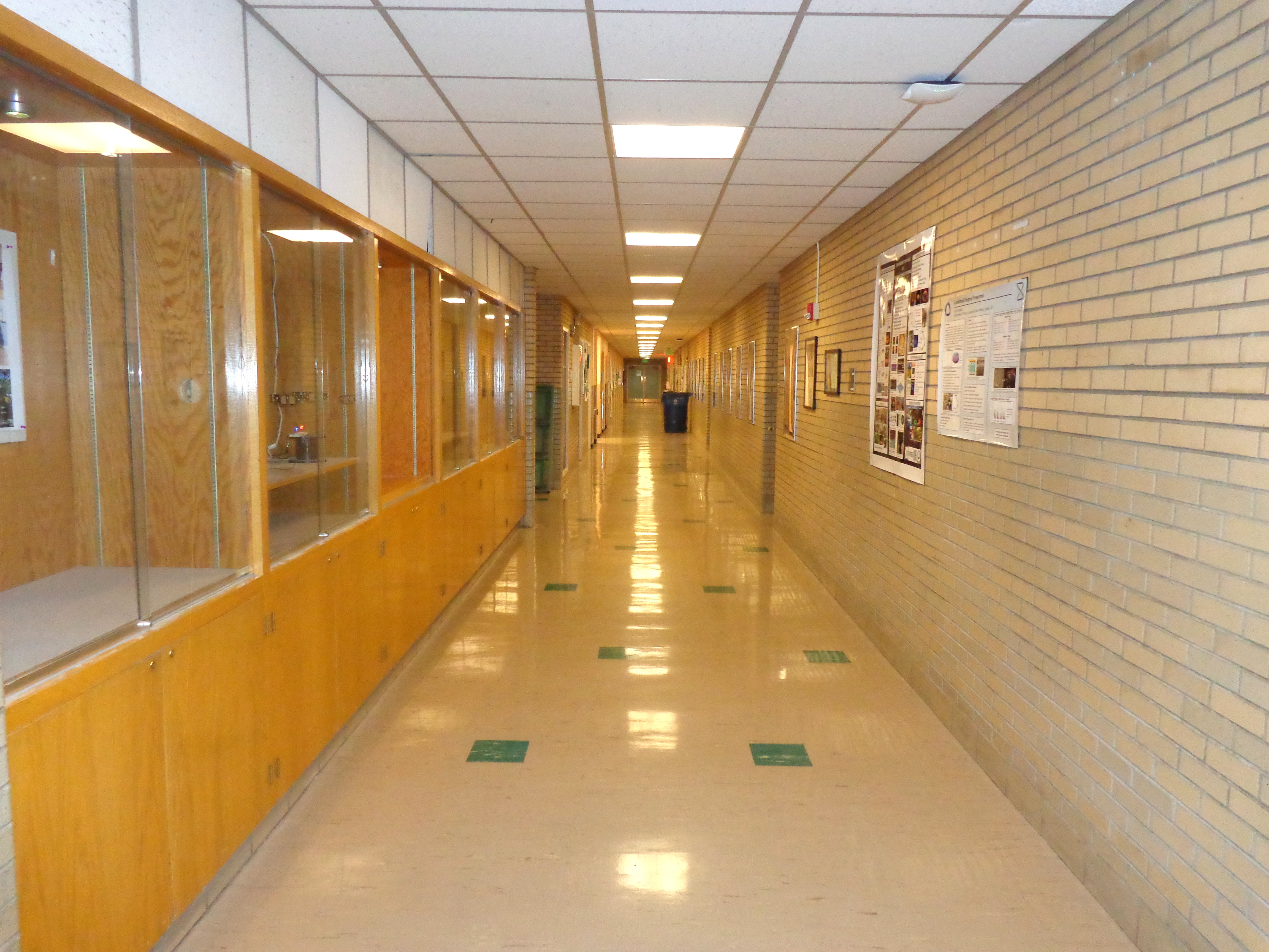 Empty School Hallway Picture. Free Photograph. Photo Public Domain