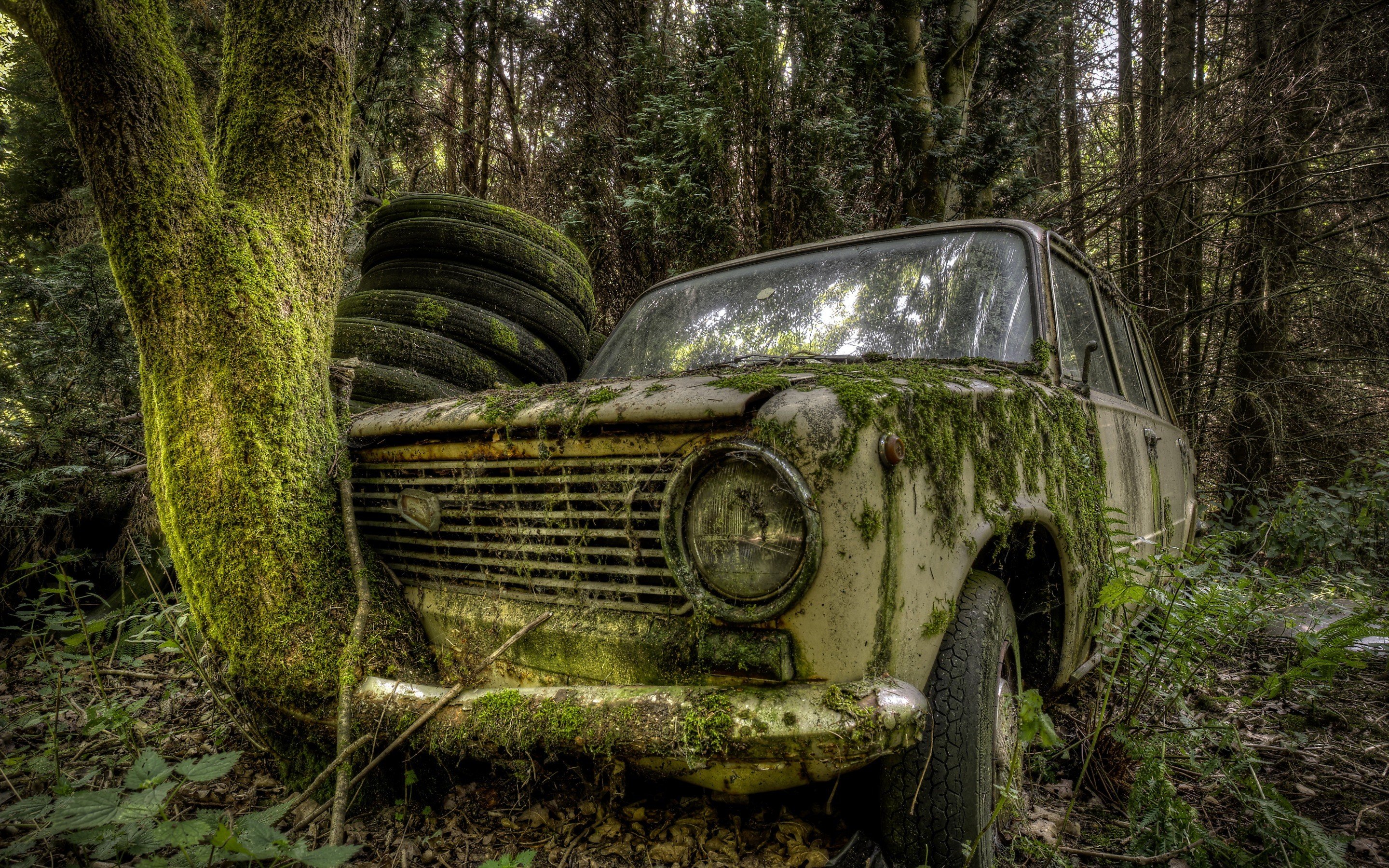Wallpaper, trees, forest, leaves, nature, abandoned, branch, moss, LADA, wreck, rust, HDR, old car, Russian cars, Vintage car, tyres, Sedan, woodland, land vehicle, automobile make, sport utility vehicle, off roading, off