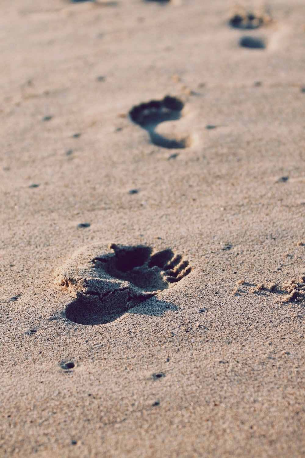 Footstep Picture. Download Free Image