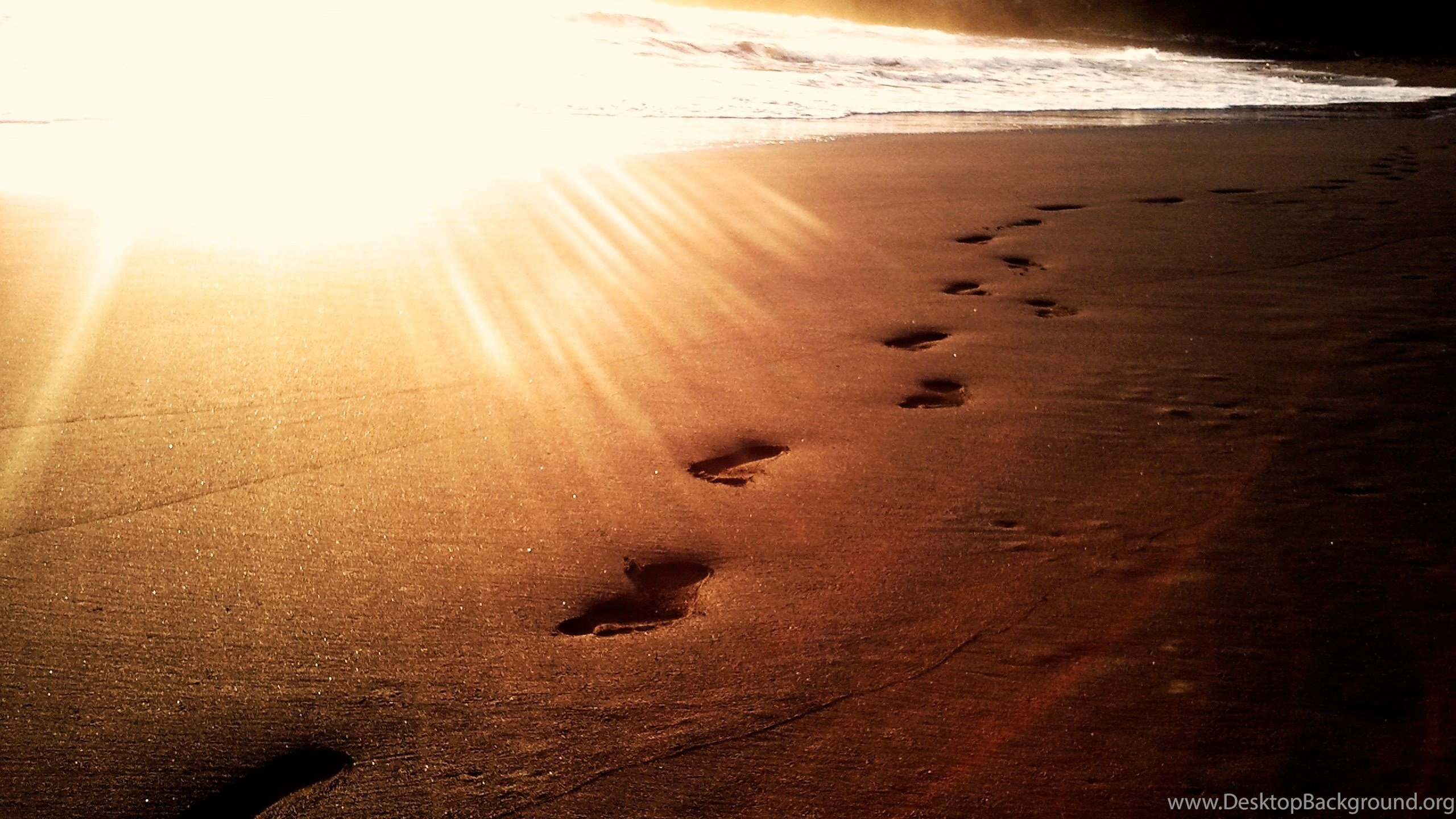 Footprints In The Sand Wallpaper HD Image New Desktop Background