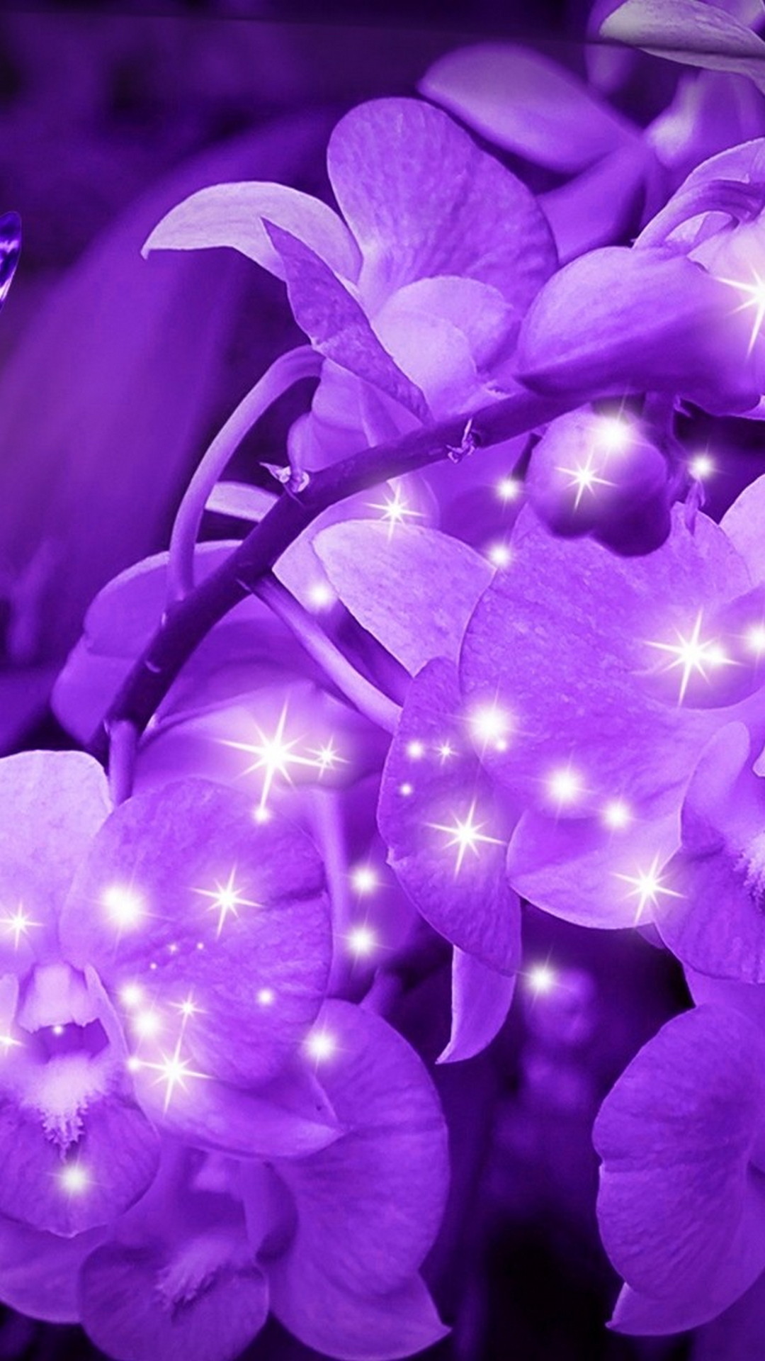 Beautiful purple flowers wallpaper