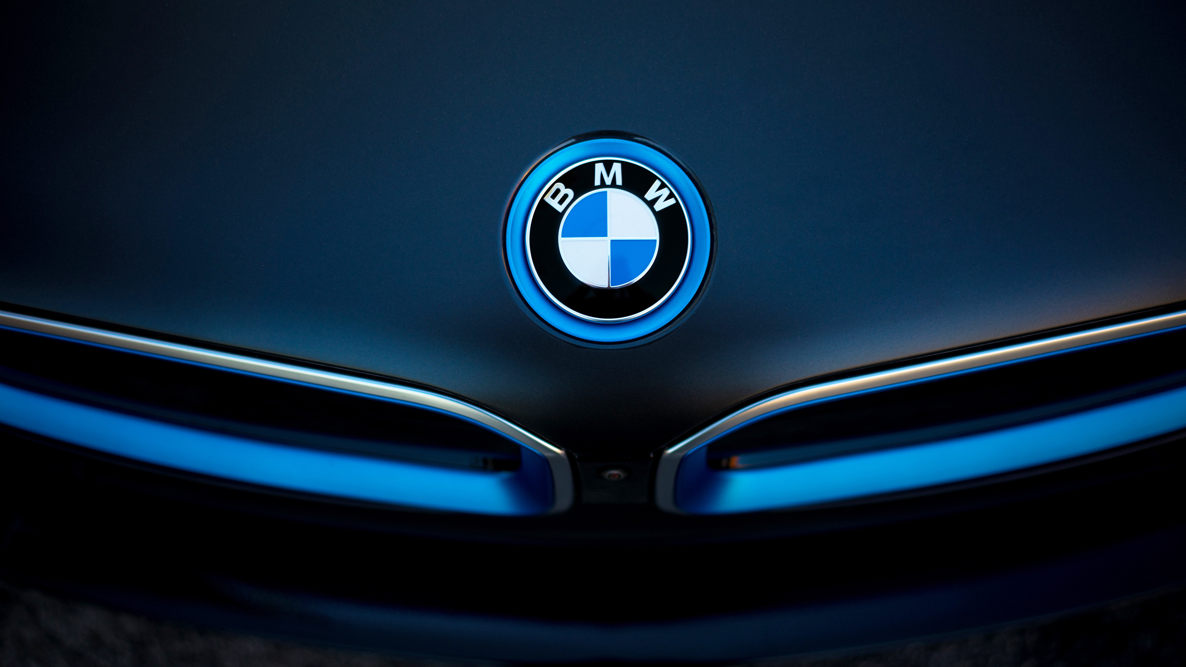 BMW Logo HD
