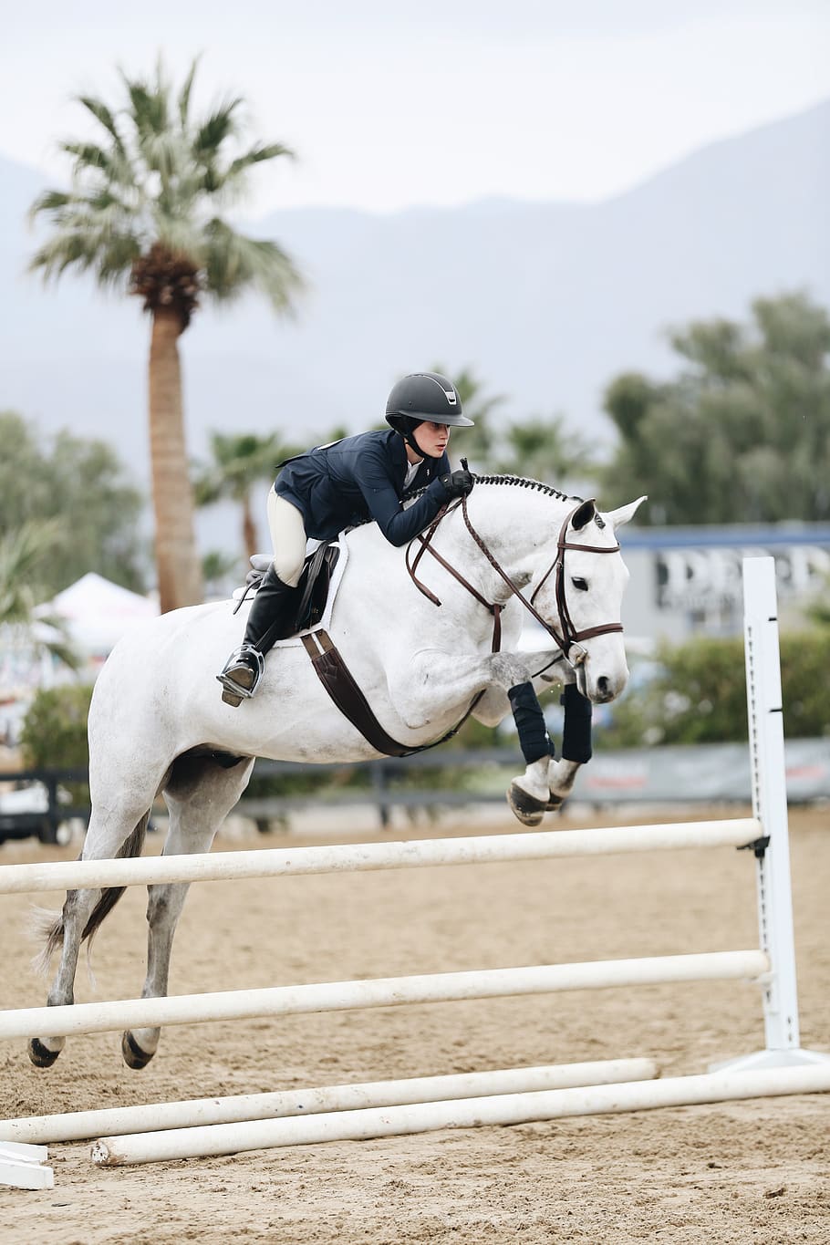 Woman Doing Show Jumping, Action, Animal, Athlete, Riding Clothes