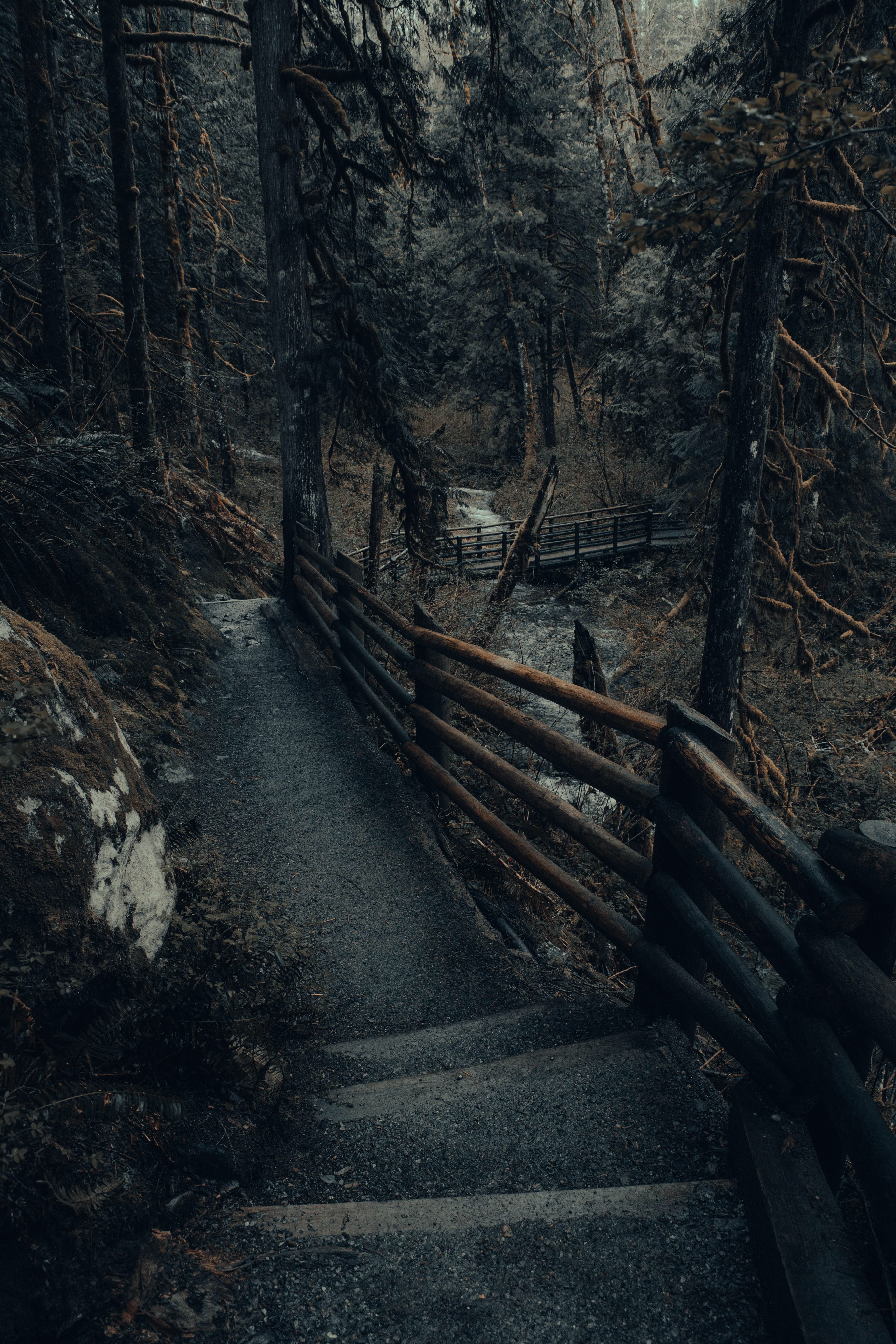 Moody PNW By Erick Ramirez. Instagram photo creative, Moody photography, Tree photography