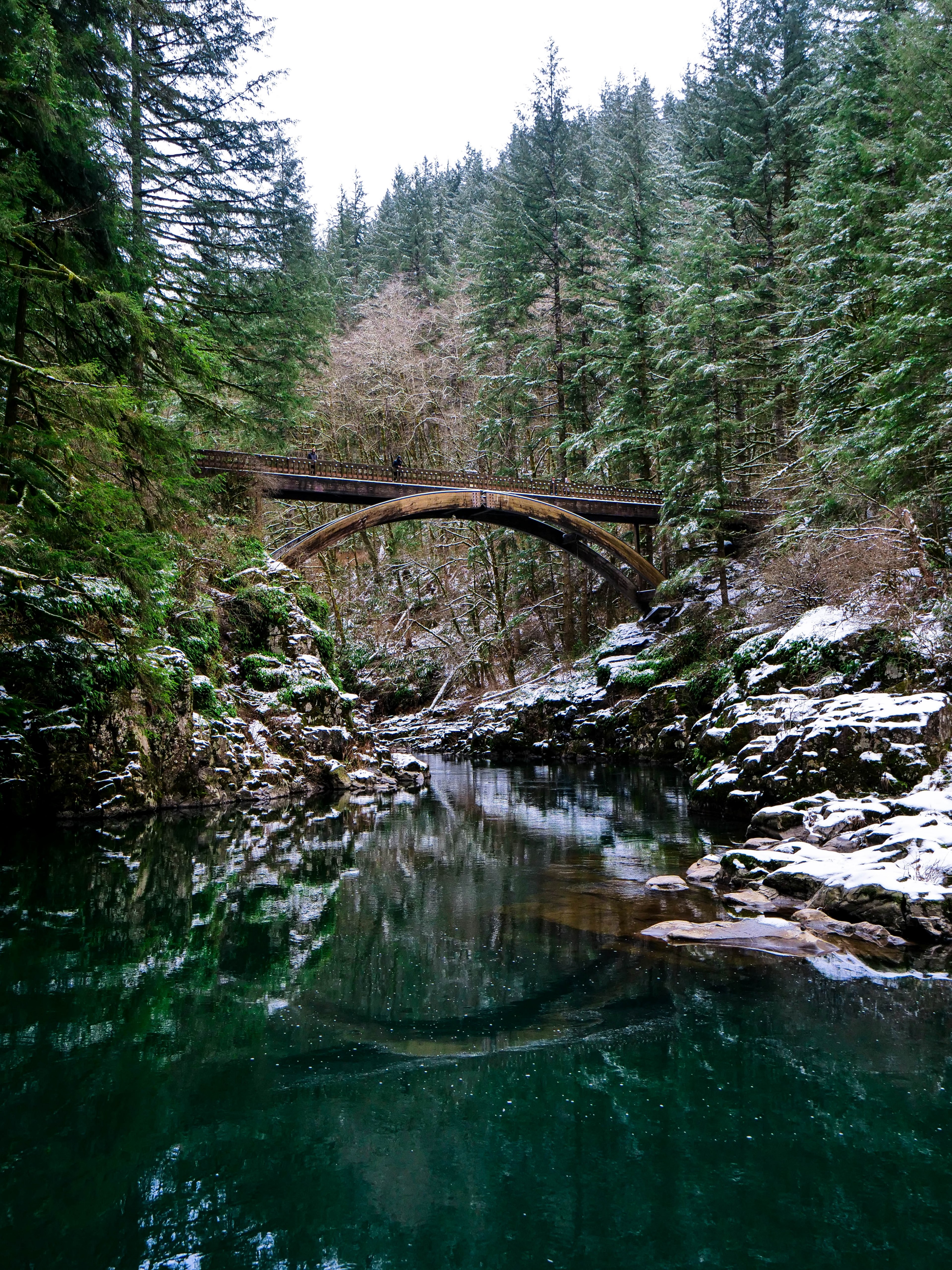 Wallpaper / winter in the pnw 4k wallpaper