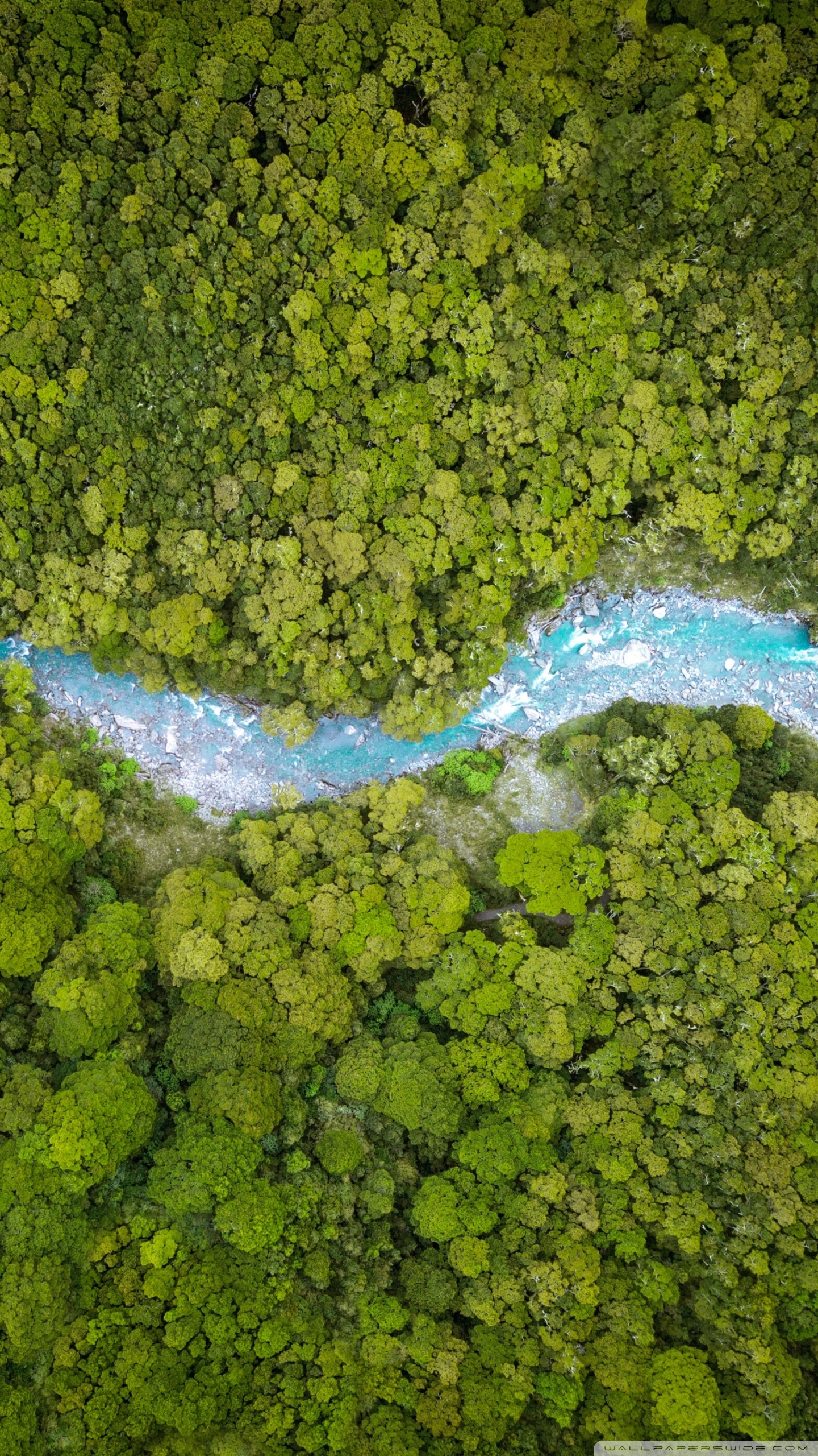 Aerial View, Forest Creek, Summer, Nature Ultra HD Desktop Background Wallpaper for 4K UHD TV, Widescreen & UltraWide Desktop & Laptop, Tablet