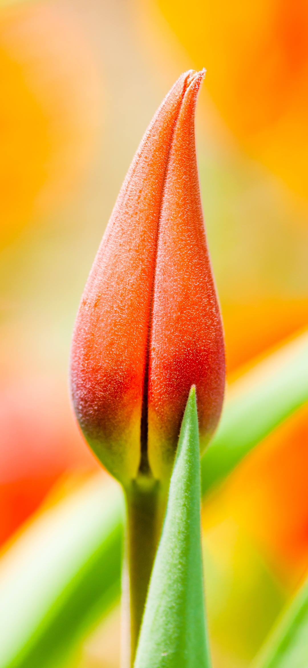 Redmi Note 7 Pro Wallpaper HD 4k Reviews, News, Opinions About Phone