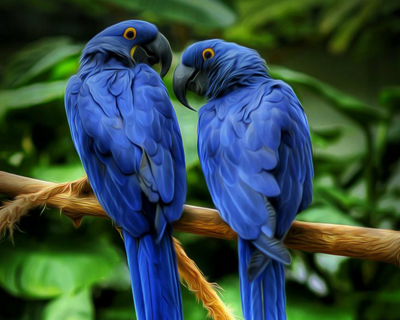 Download wallpapers hyacinth macaw for desktop free. High Quality HD  pictures wallpapers - Page 1