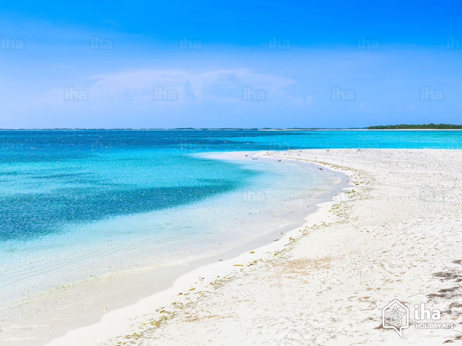 Federal Dependencies rentals in a house for your vacations