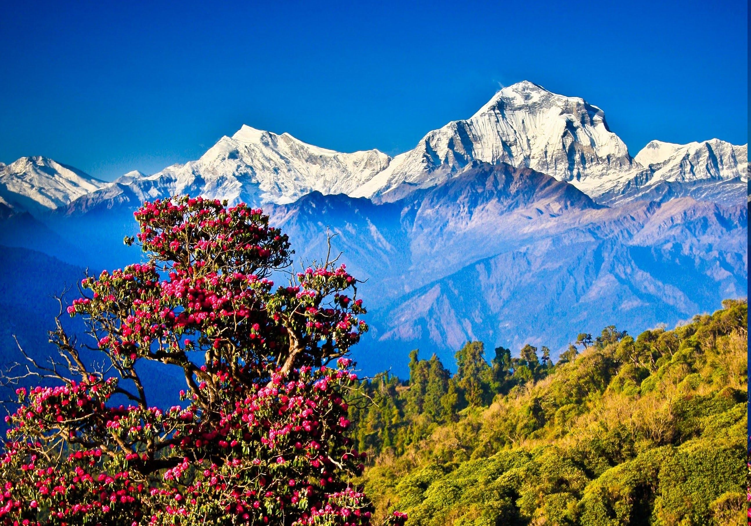 Nepal Landscape Wallpaper
