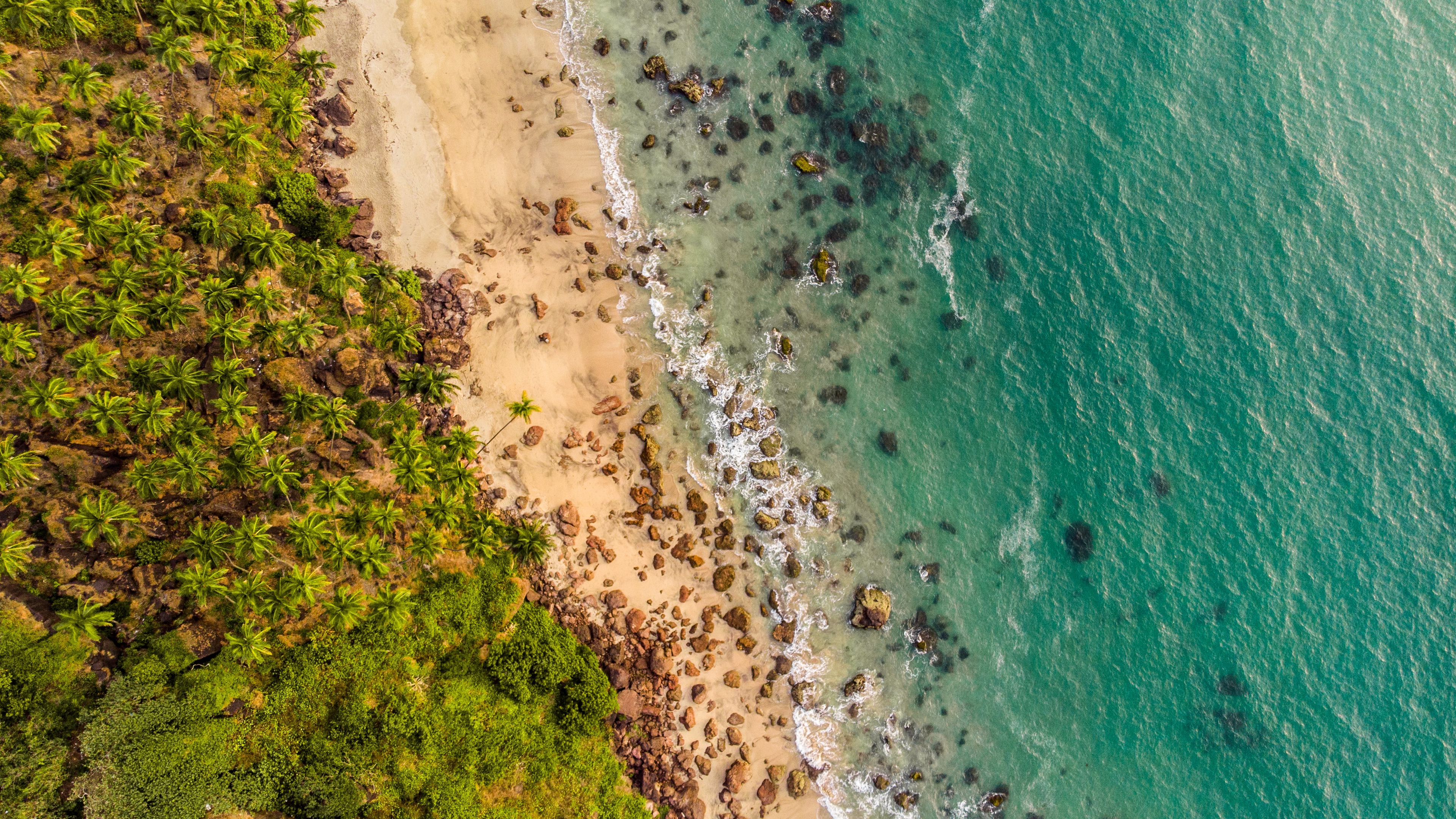 Download wallpaper 3840x2160 beach, aerial view, shore, trees, sand 4k uhd 16:9 HD background