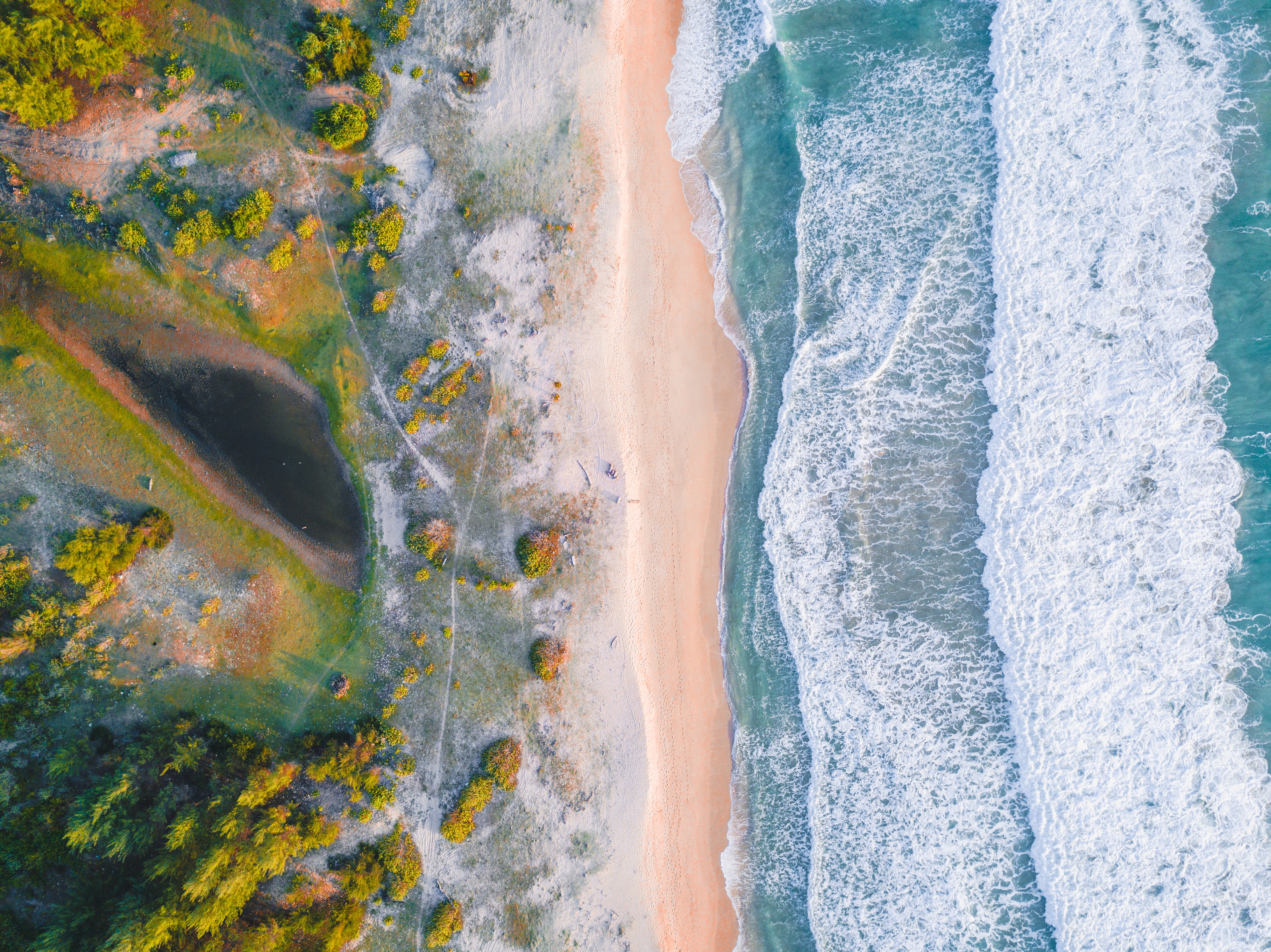 Aerial View of Beach · Free