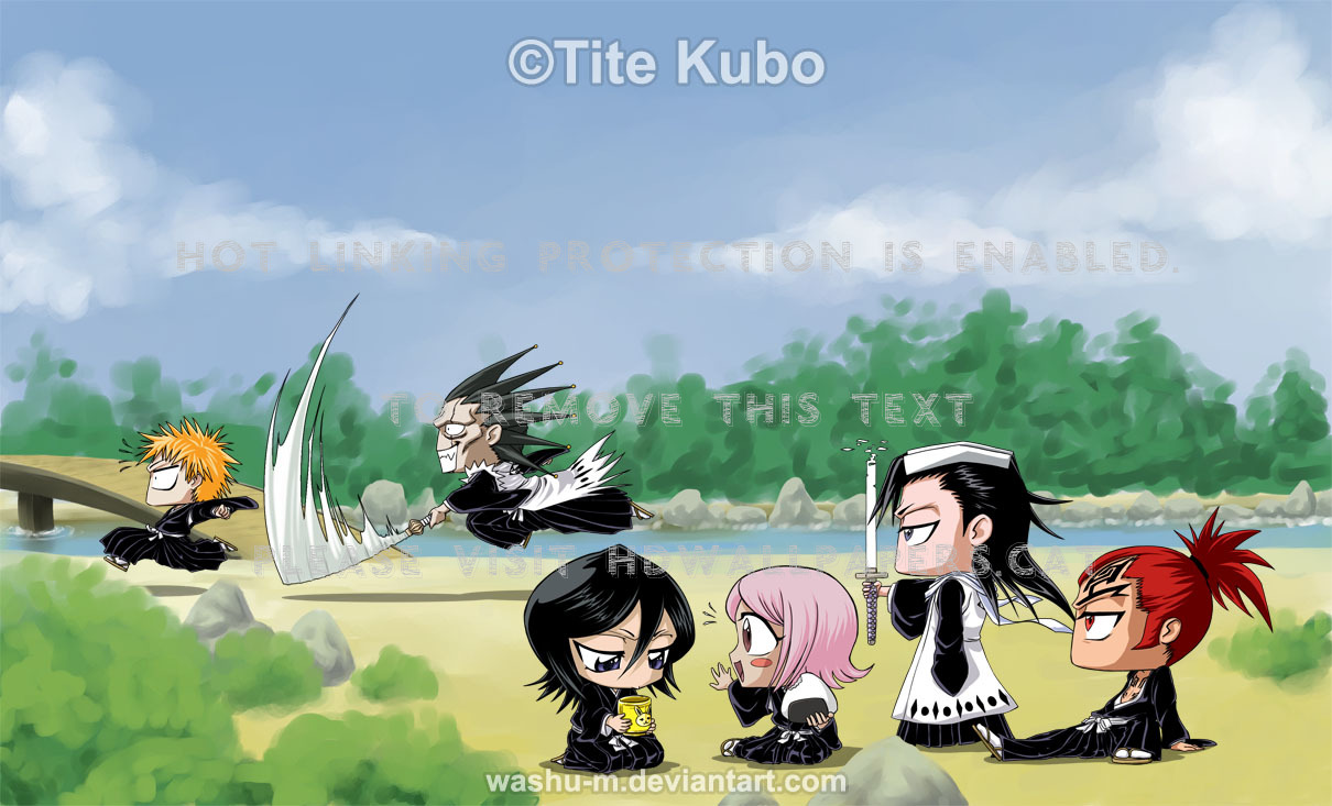 a day in soul society rukia ichigo kurosaki