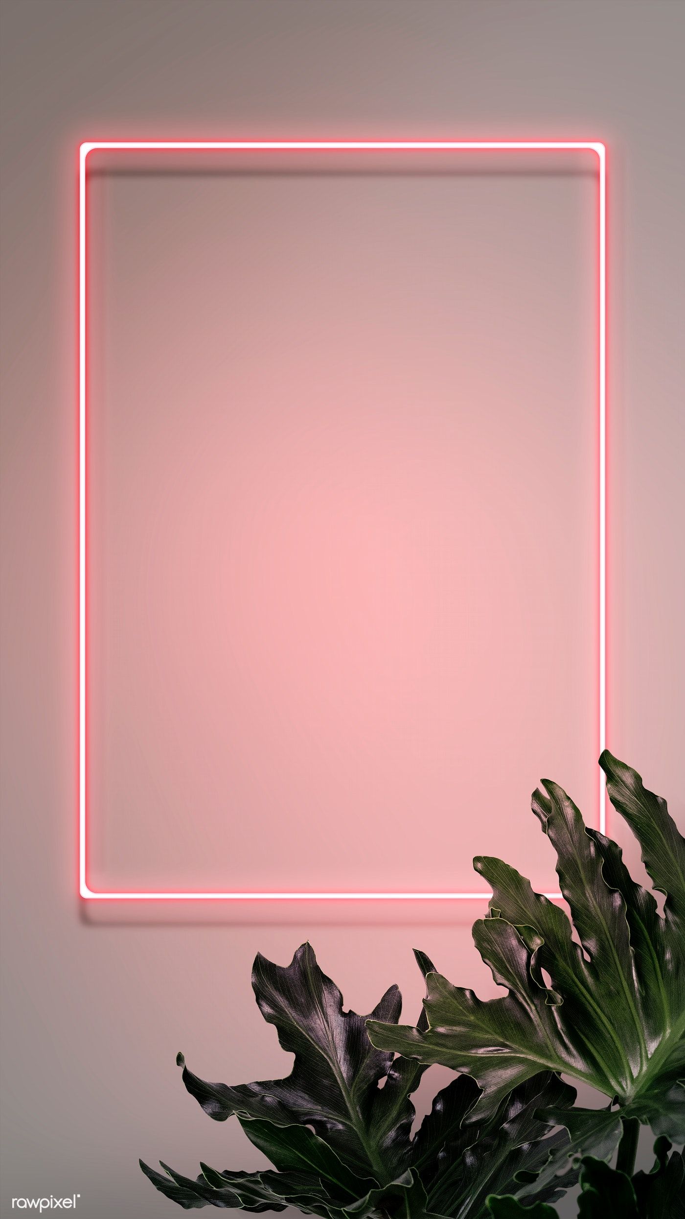 Download premium psd of Neon red hello with a flamingo in a frame 894333. Framed wallpaper, Instagram wallpaper, Pink wallpaper