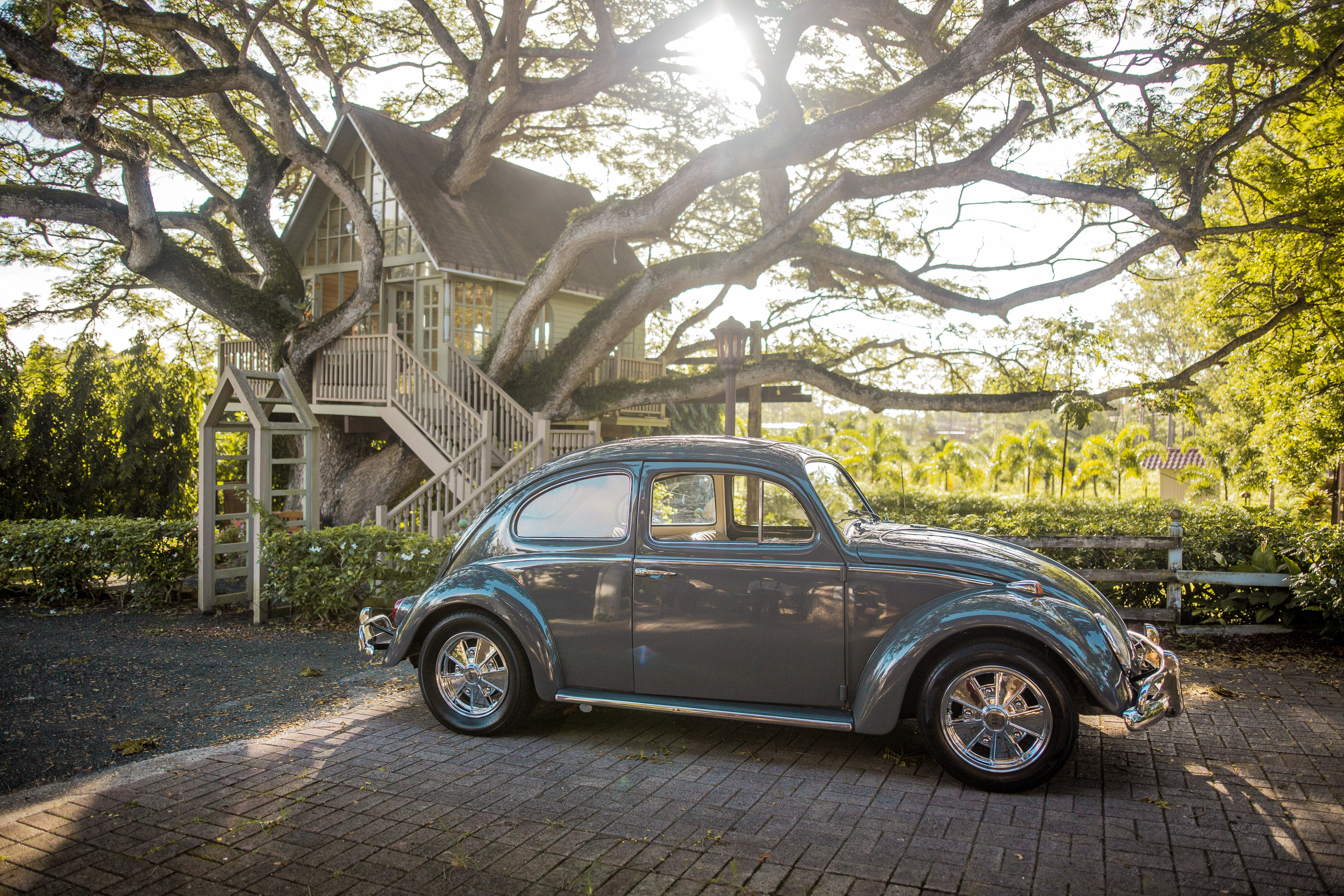 Gray Volkswagen Beetle Parking Near Bushes Surrounded With Tall and Green Trees · Free