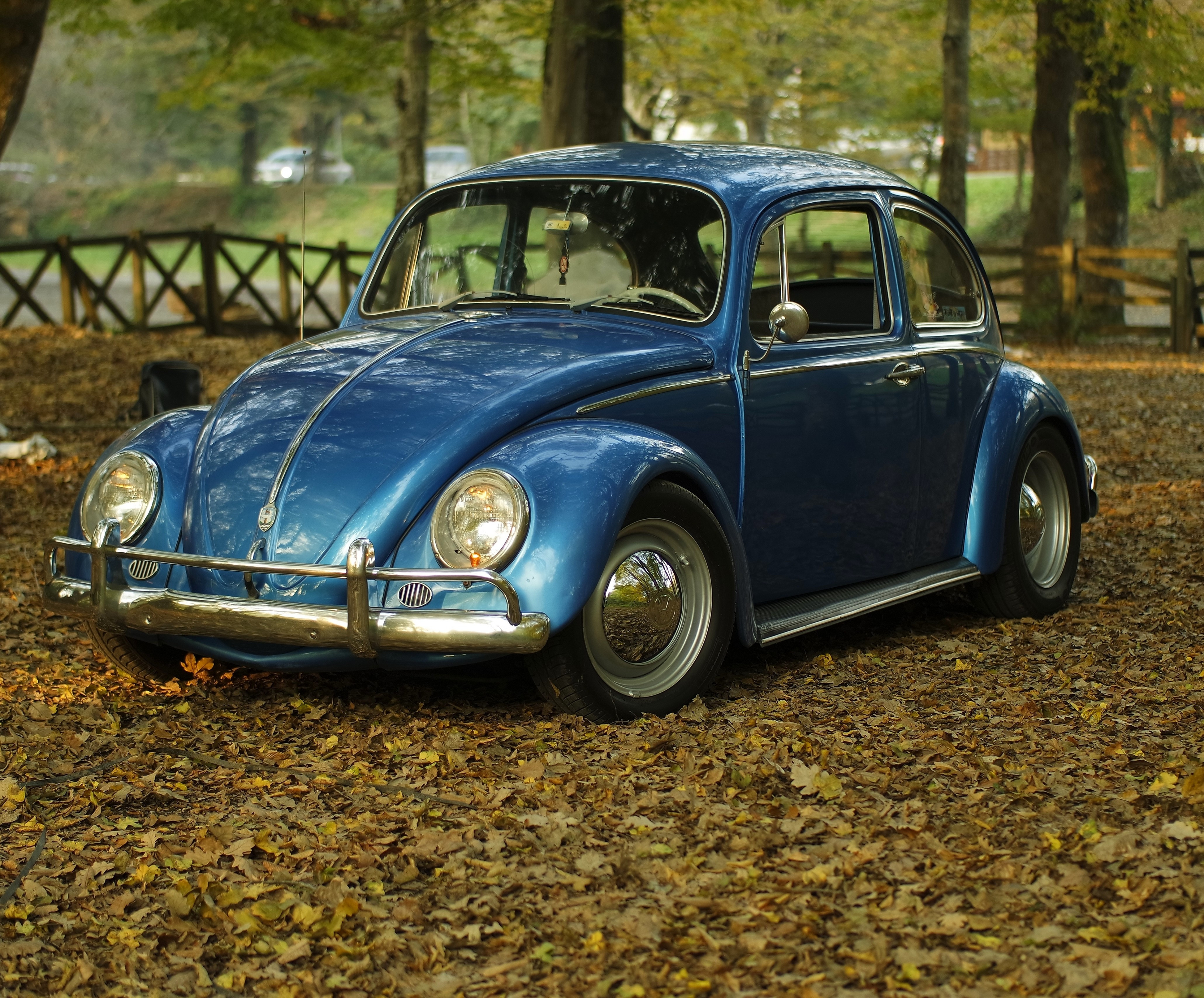 Download 4121x3417 Volkswagen Beetle, Turtle, Autumn, Retro, Cars Wallpaper
