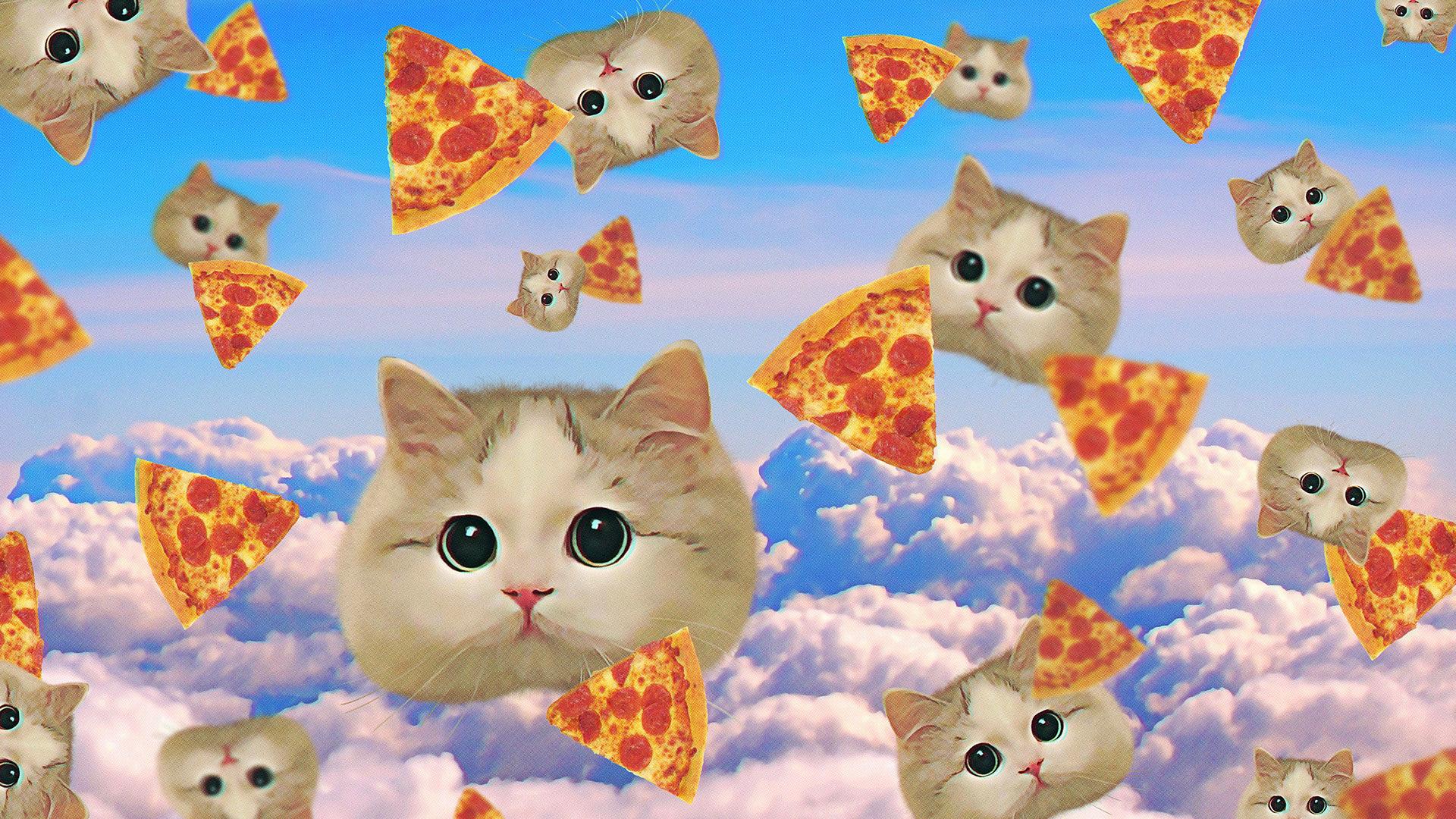 Galaxy Pizza Cat Wallpaper